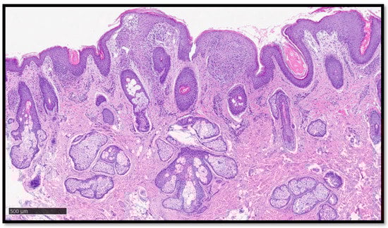 Diagnostics 13 01286 g003 550