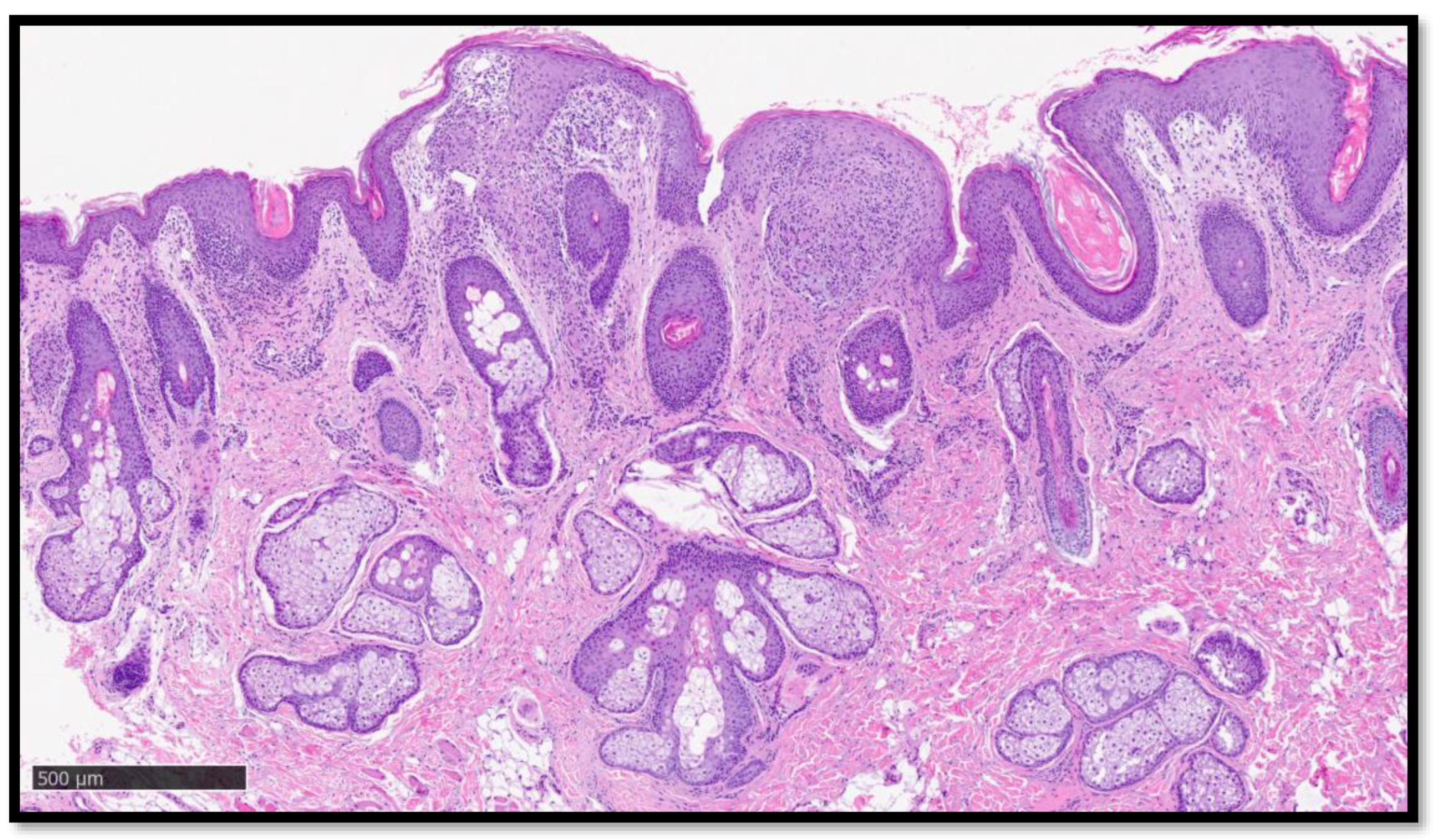 Diagnostics 13 01286 g003