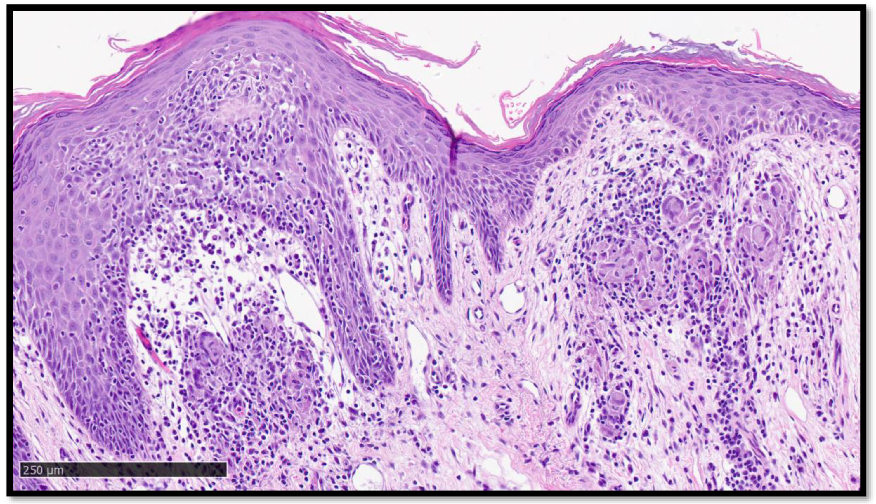 Diagnostics 13 01286 g005