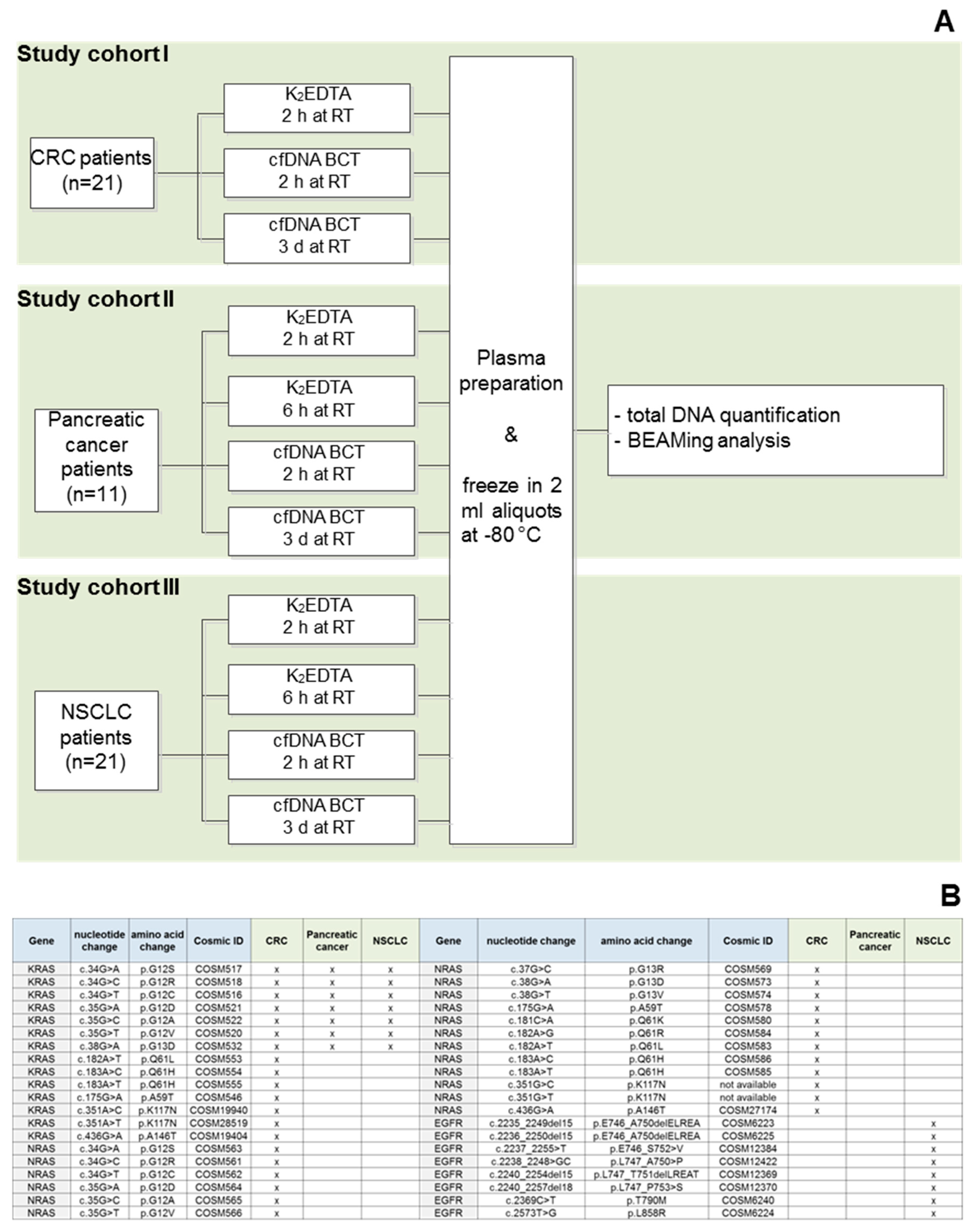 Diagnostics 13 01288 g001