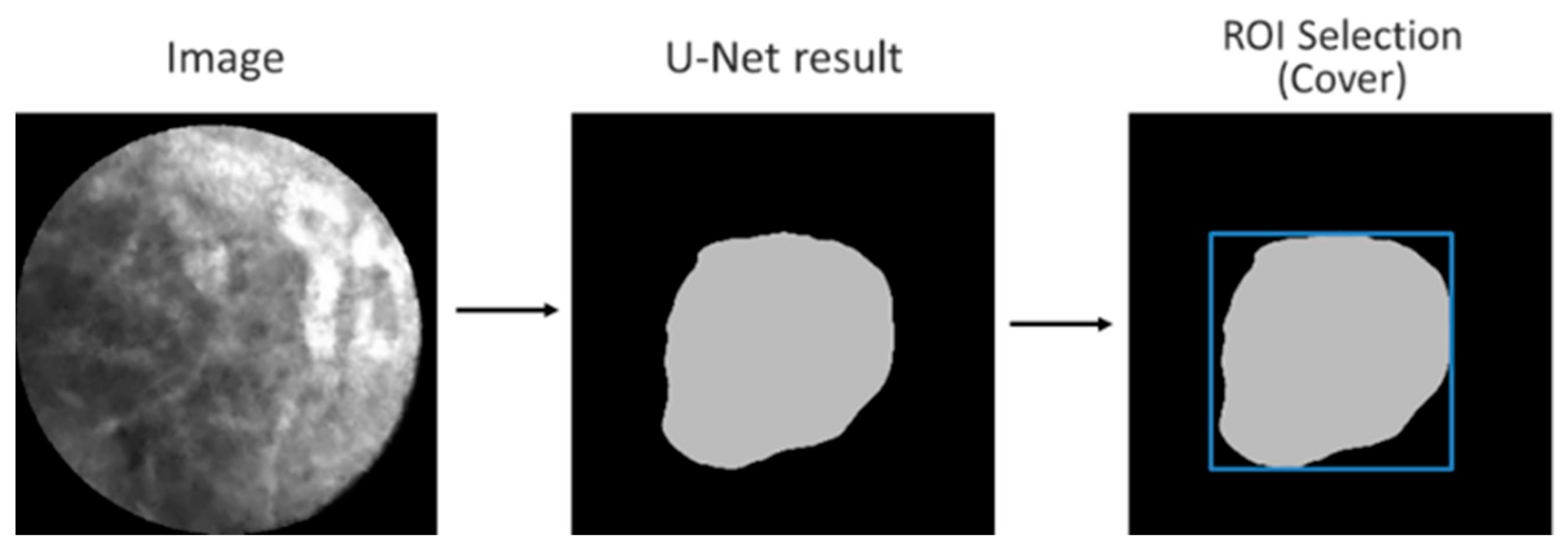 Diagnostics 13 01289 g005