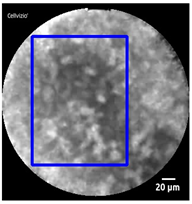 Diagnostics 13 01289 i009