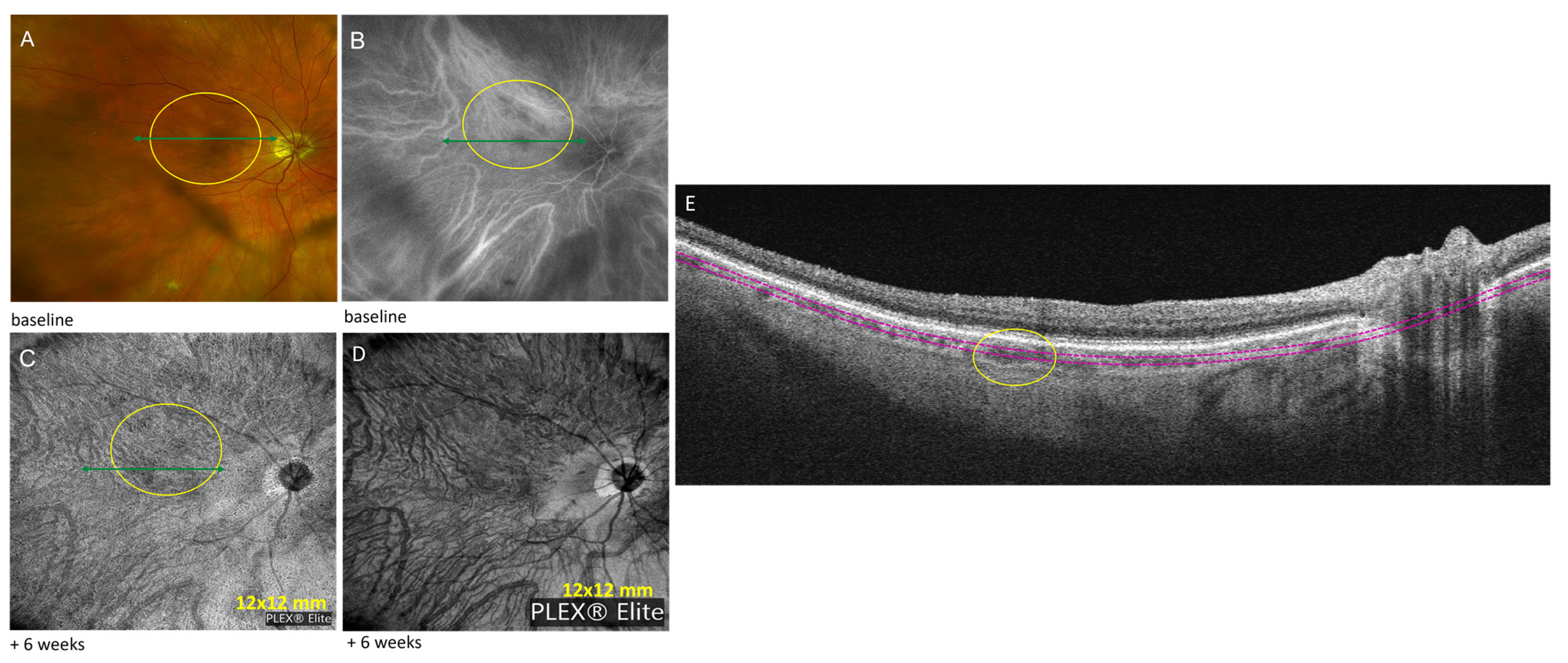Diagnostics 13 01296 g002