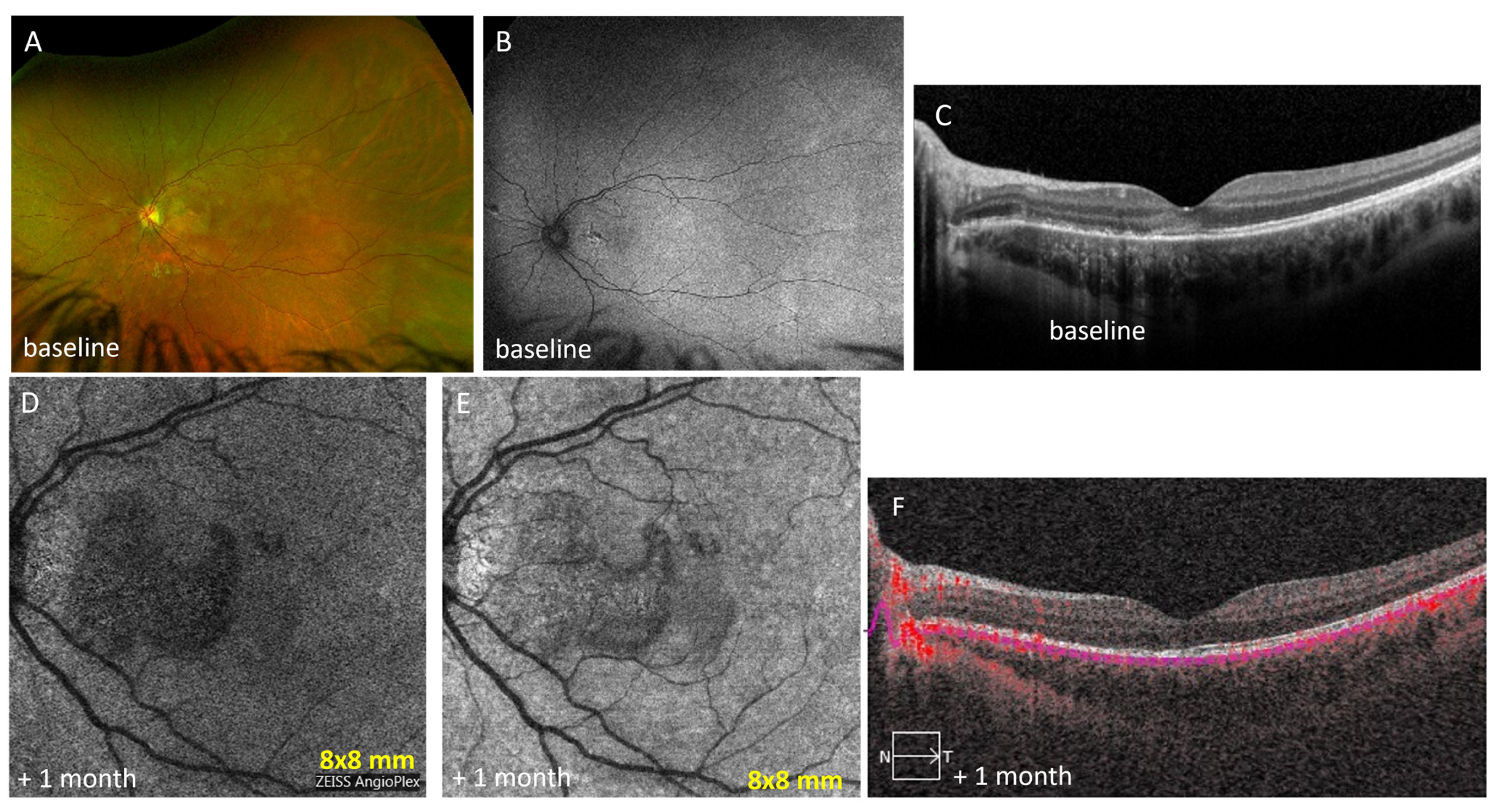 Diagnostics 13 01296 g005