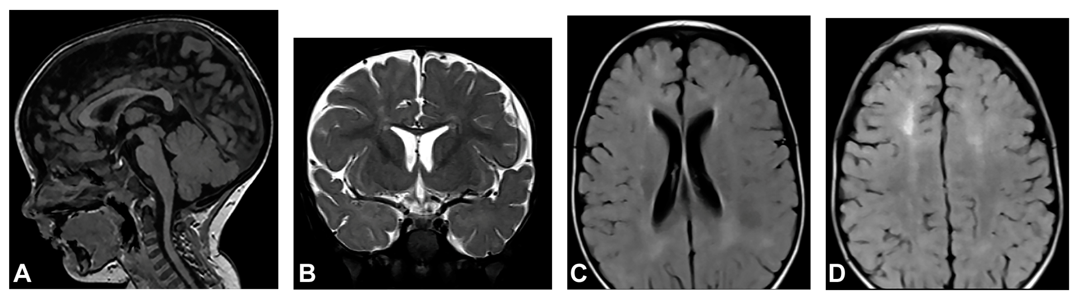 Diagnostics 13 01300 g001