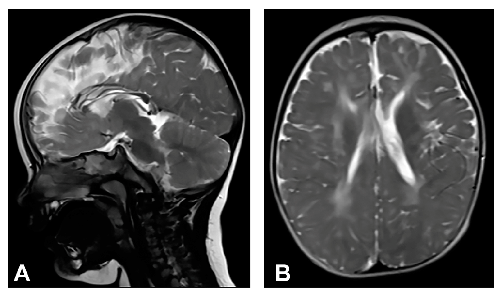 Diagnostics 13 01300 g002