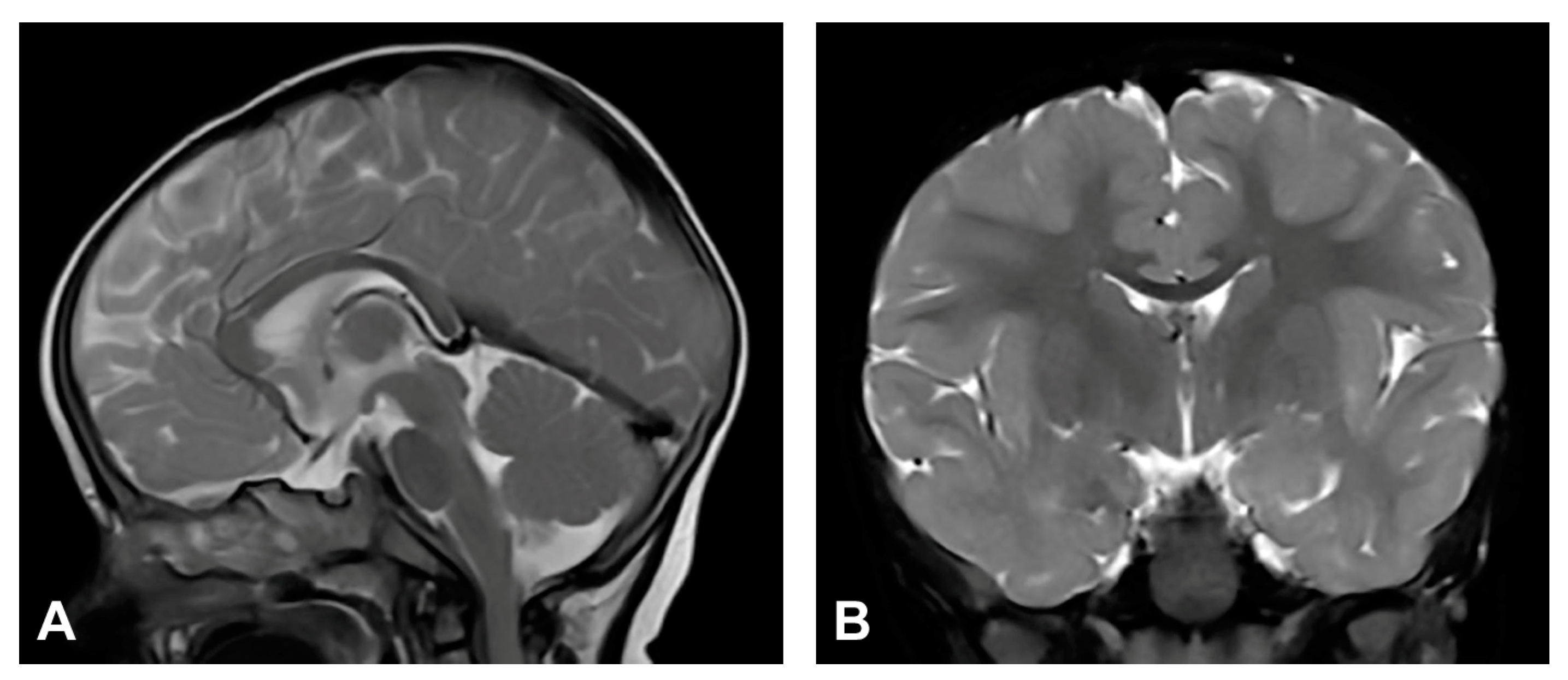 Diagnostics 13 01300 g004