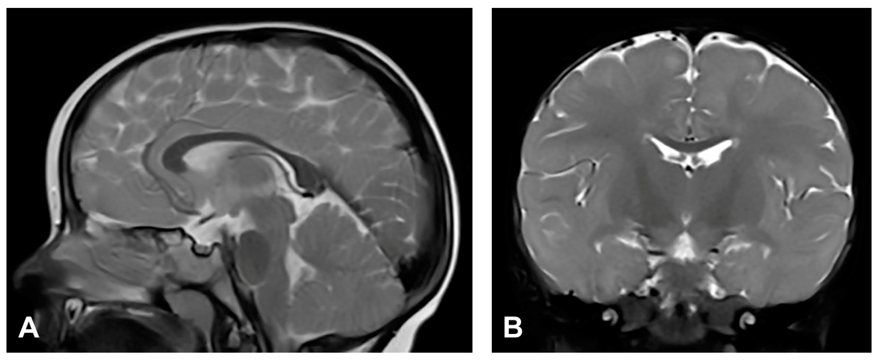 Diagnostics 13 01300 g005