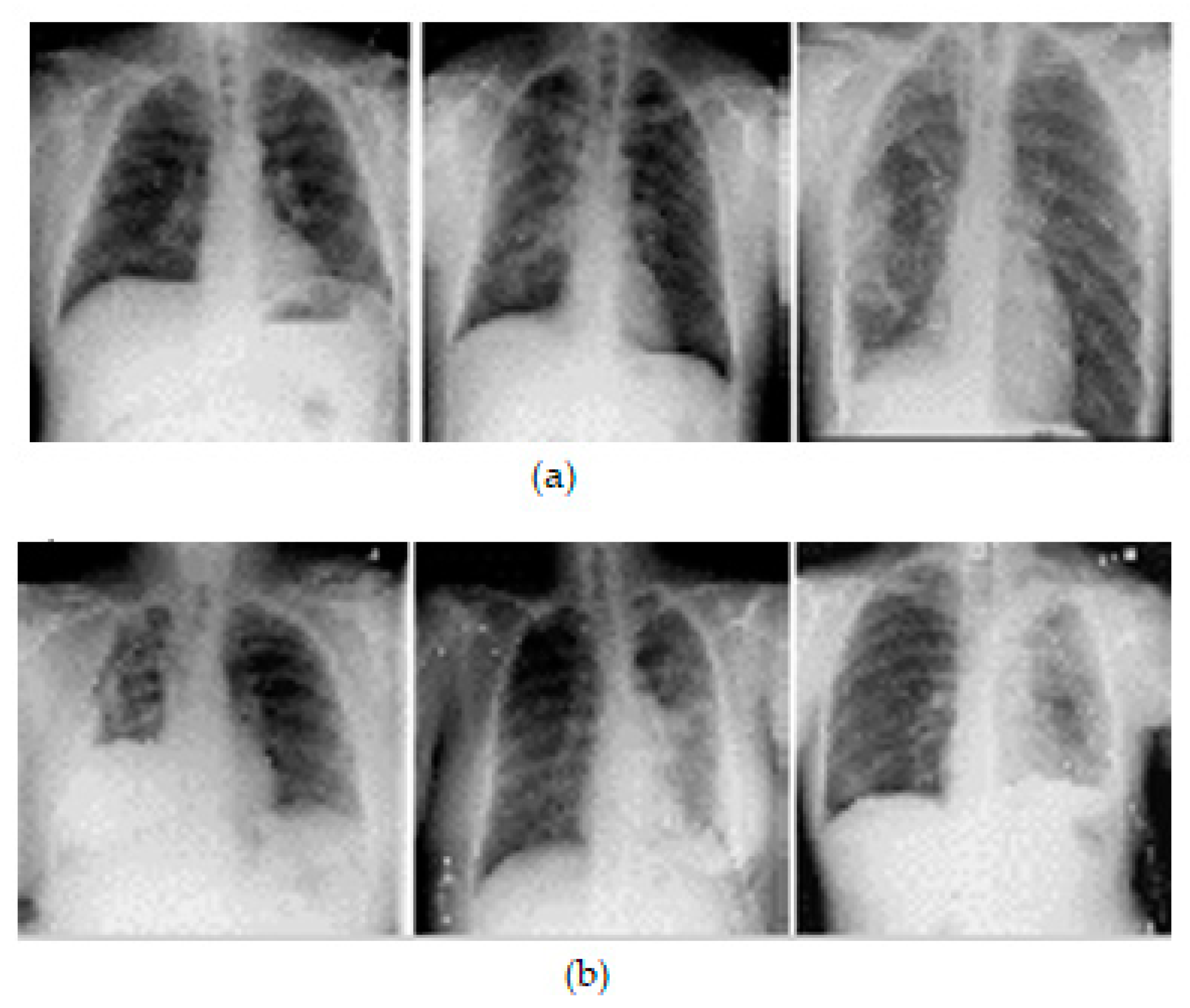 Diagnostics 13 01305 g003