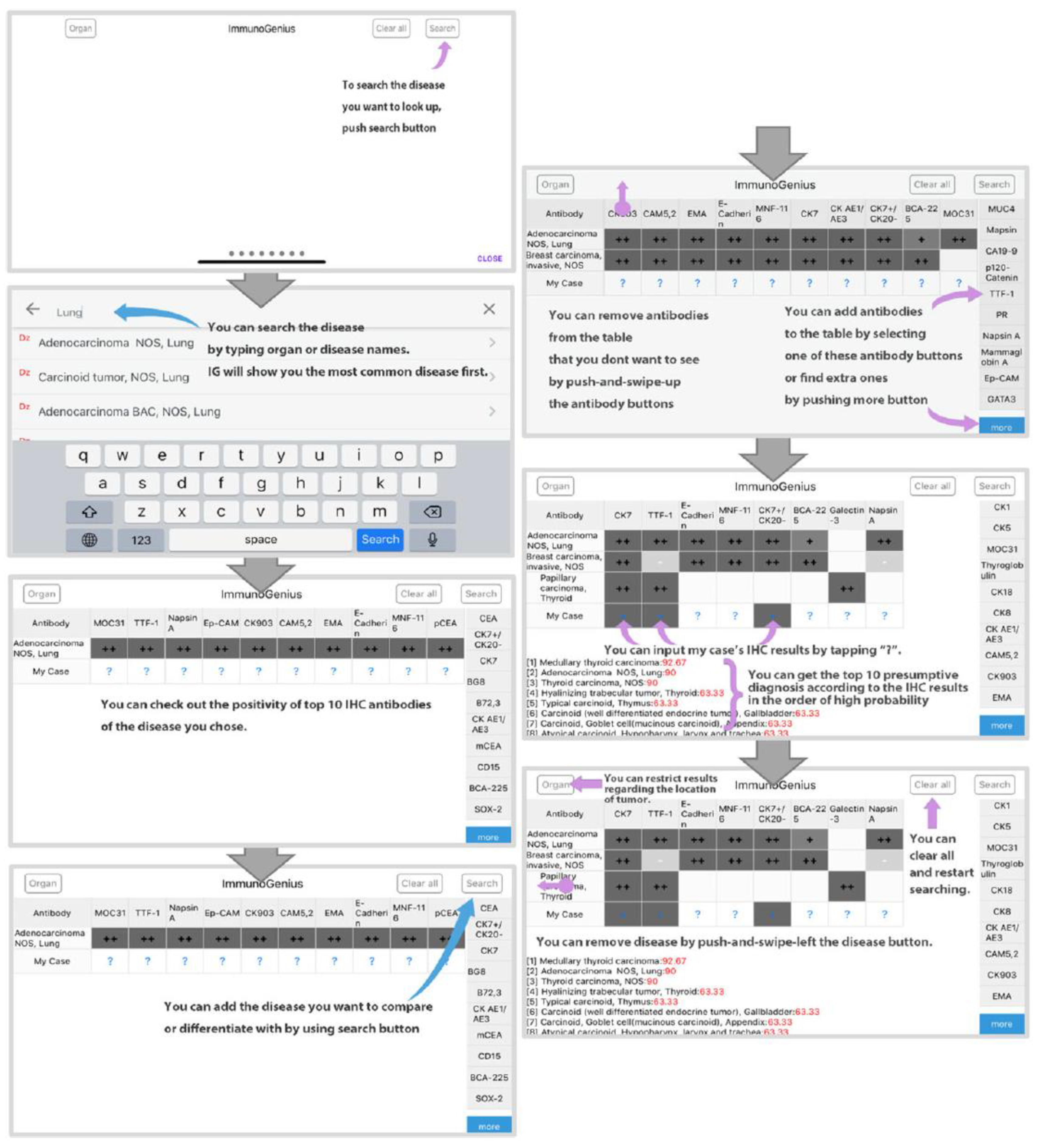 Diagnostics 13 01308 g002