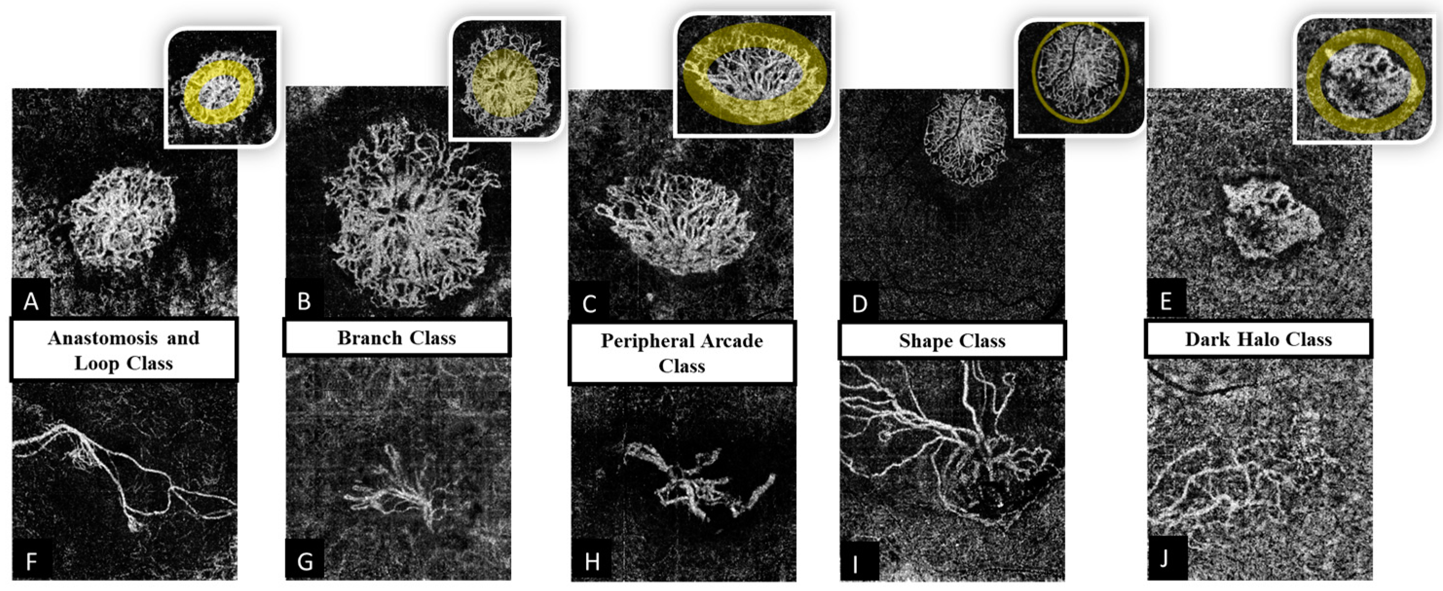 Diagnostics 13 01309 g001