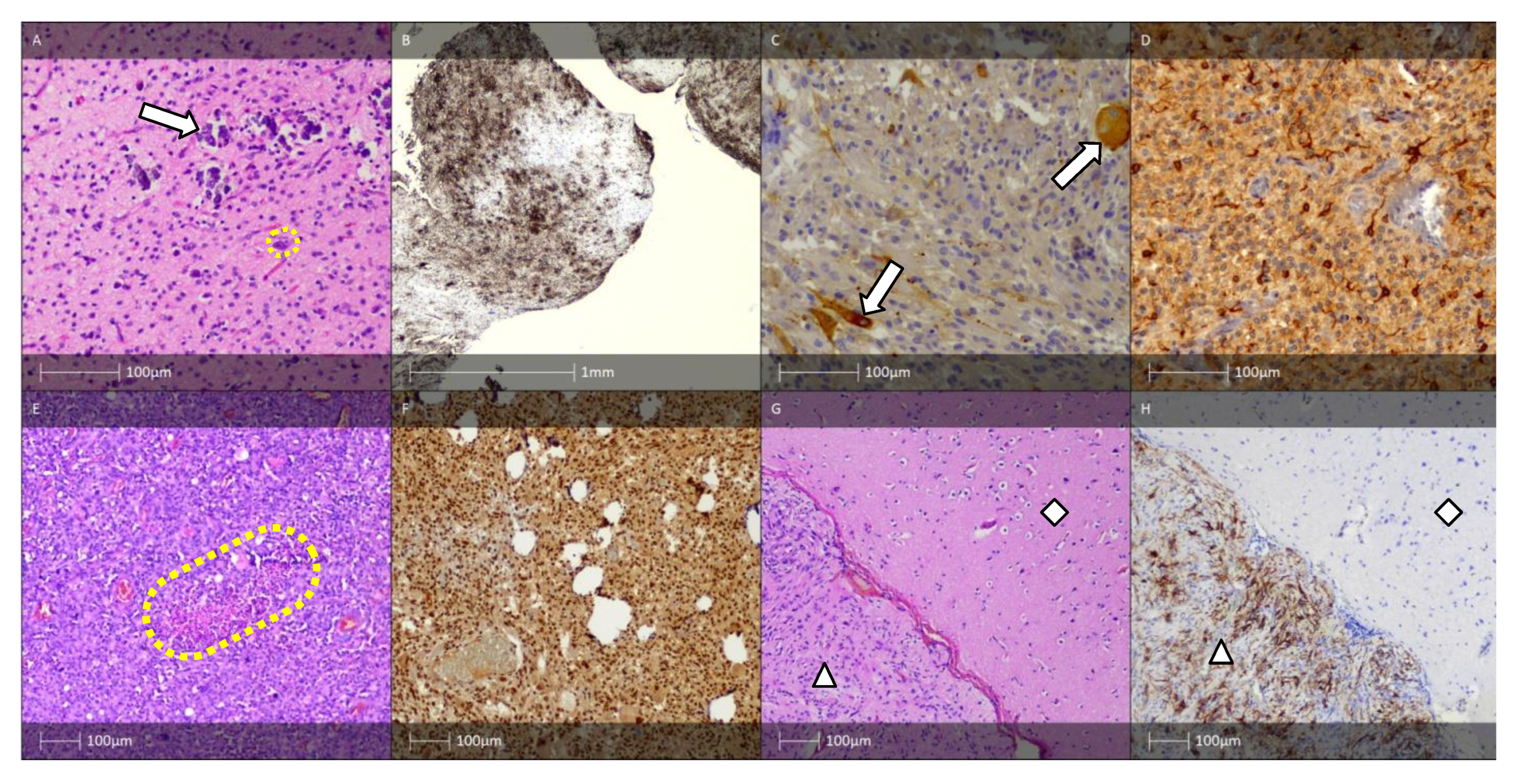 Diagnostics 13 01311 g004