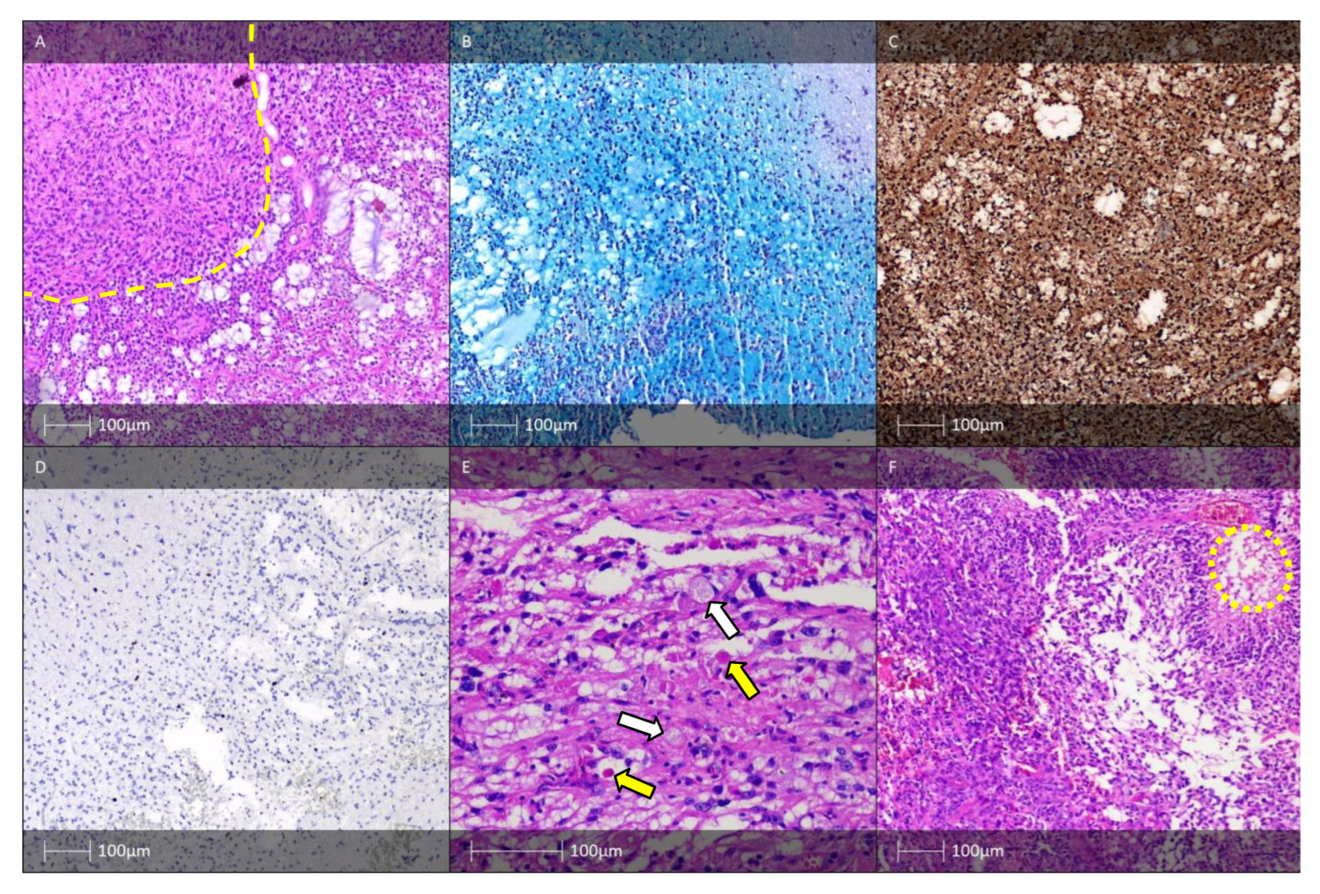 Diagnostics 13 01311 g005