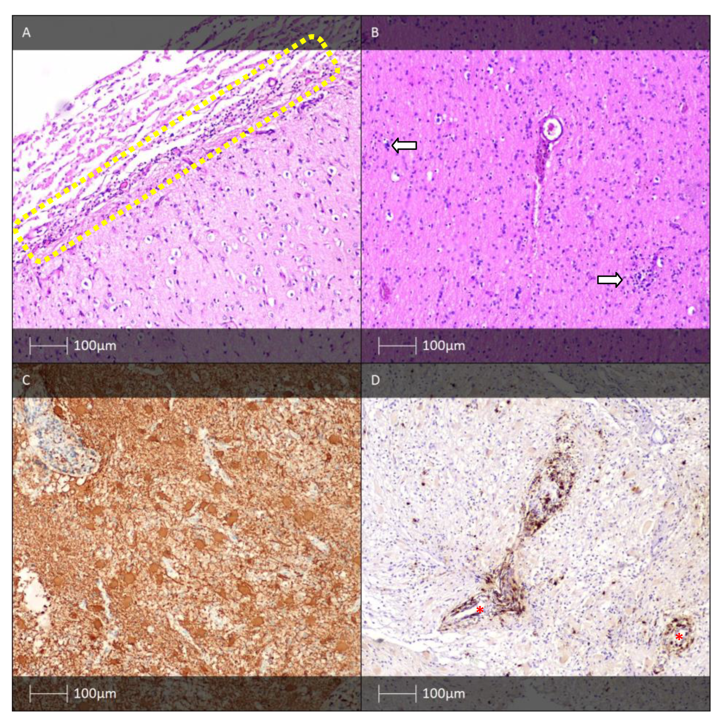 Diagnostics 13 01311 g008