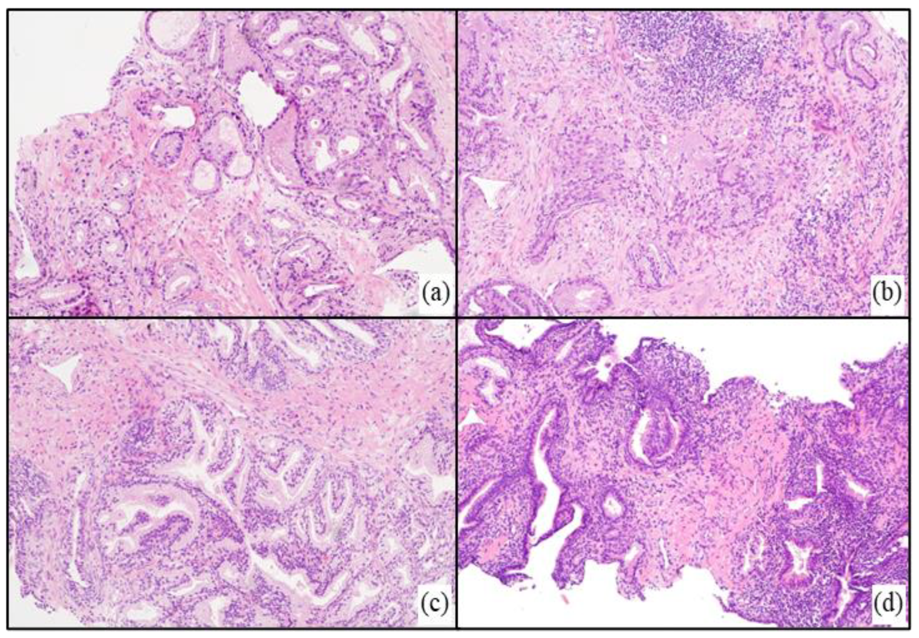 Diagnostics 13 01318 g001