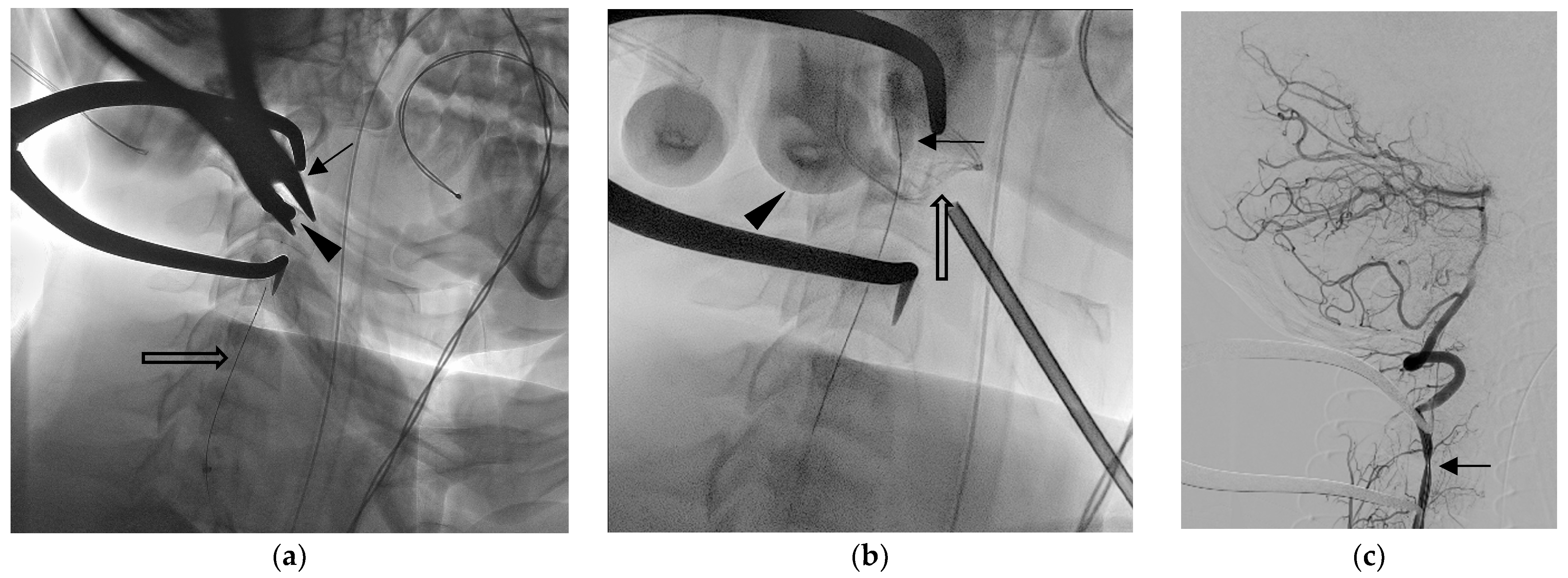 Diagnostics 13 01323 g003