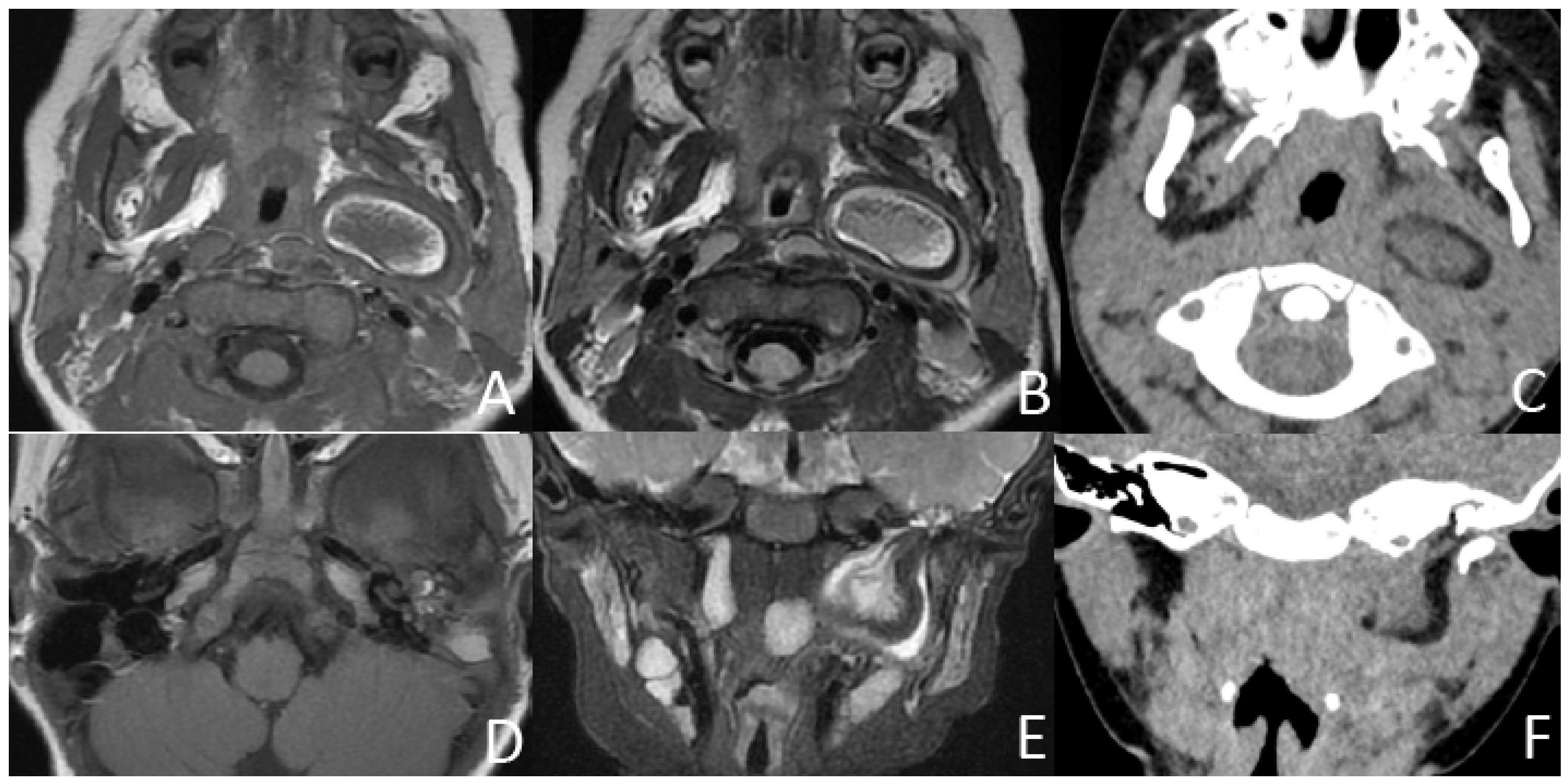 Diagnostics 13 01328 g004