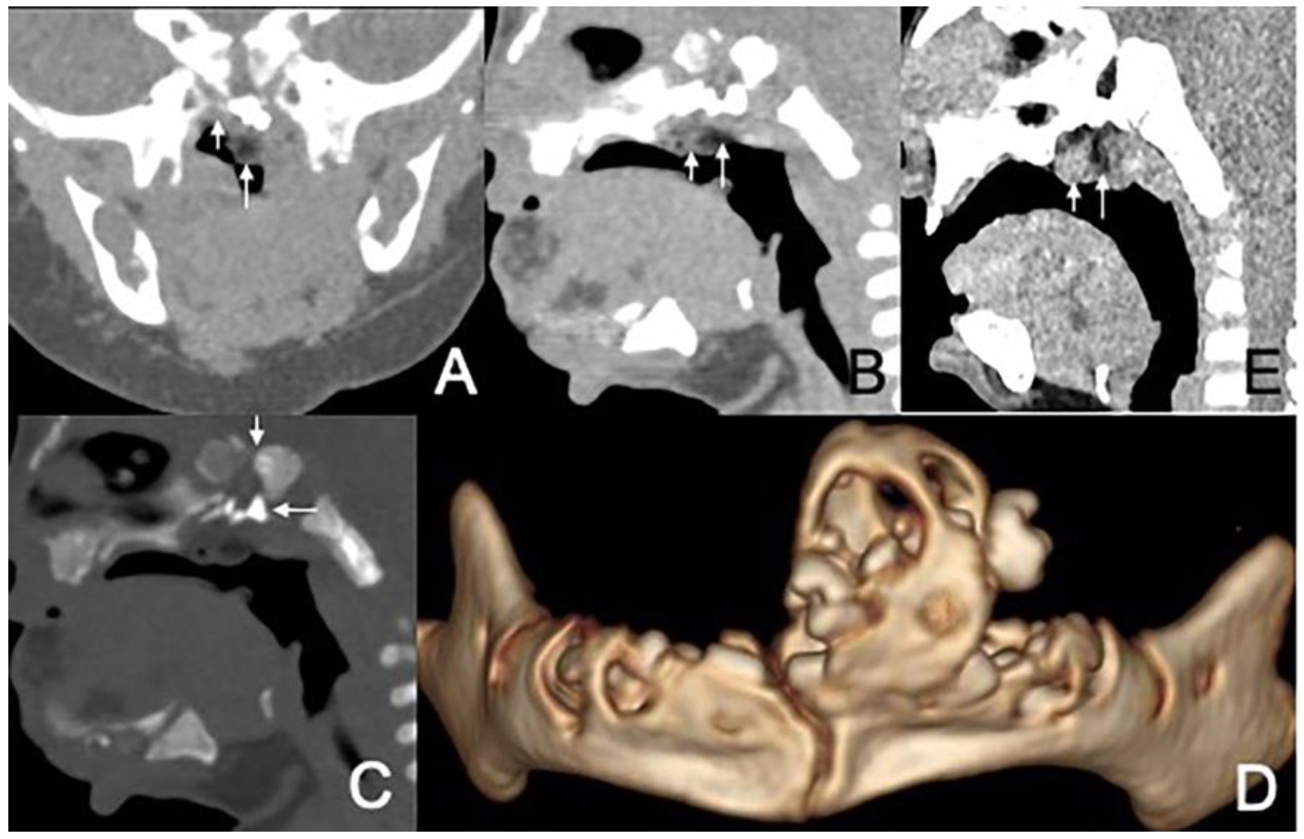 Diagnostics 13 01328 g005