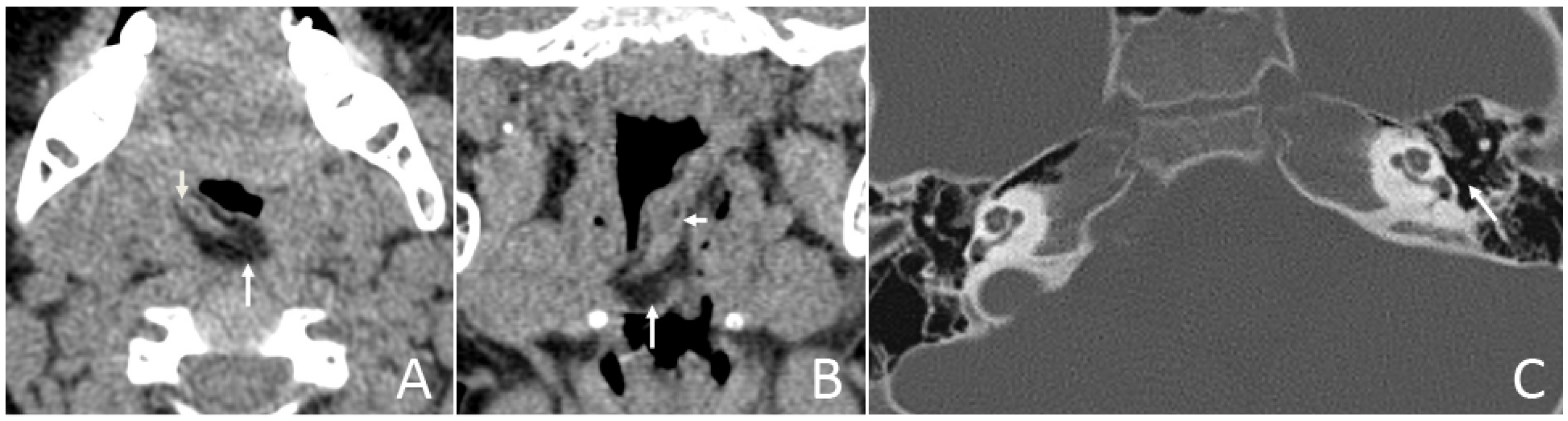 Diagnostics 13 01328 g006