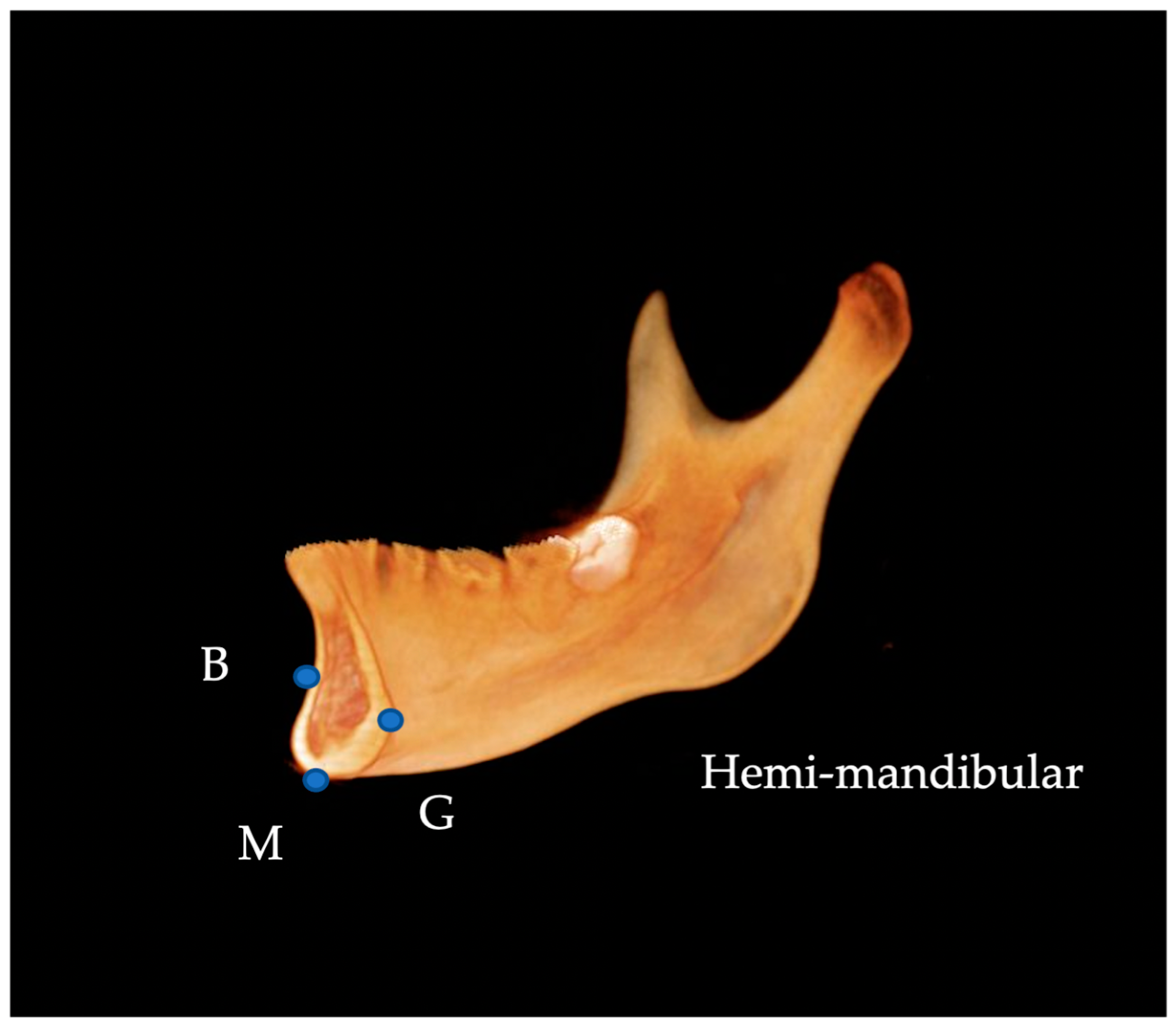 Diagnostics 13 01331 g002