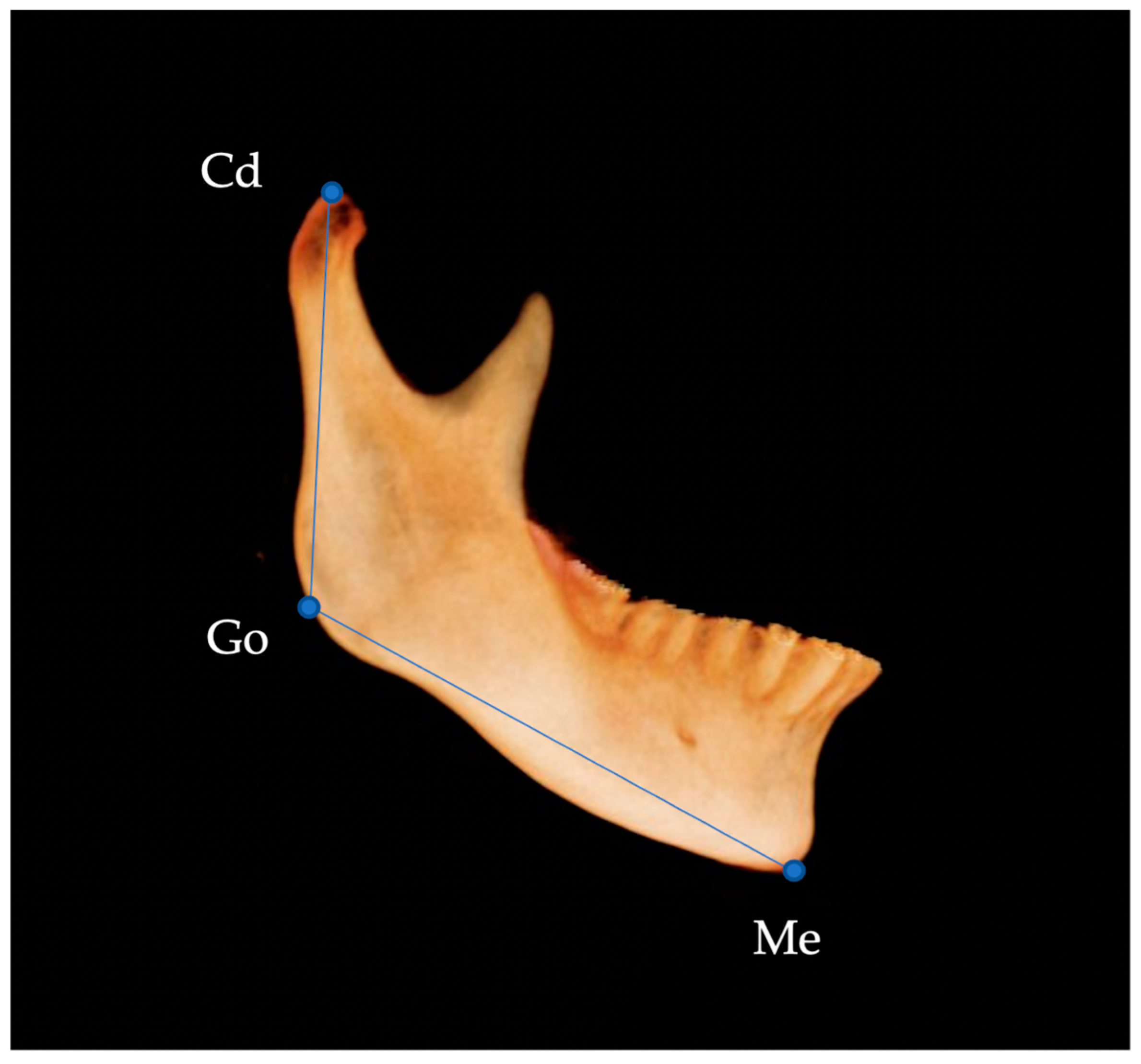Diagnostics 13 01331 g003
