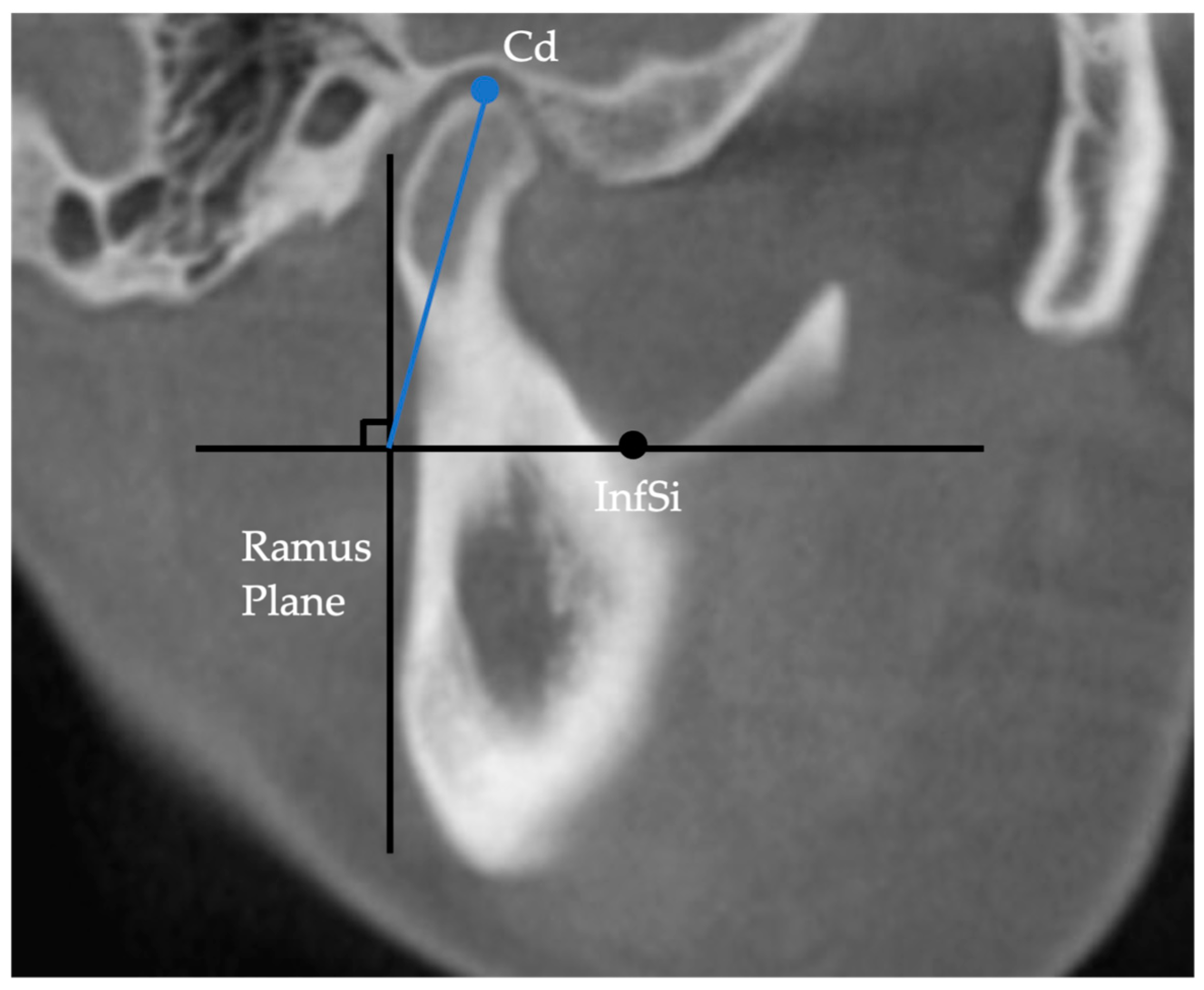 Diagnostics 13 01331 g004