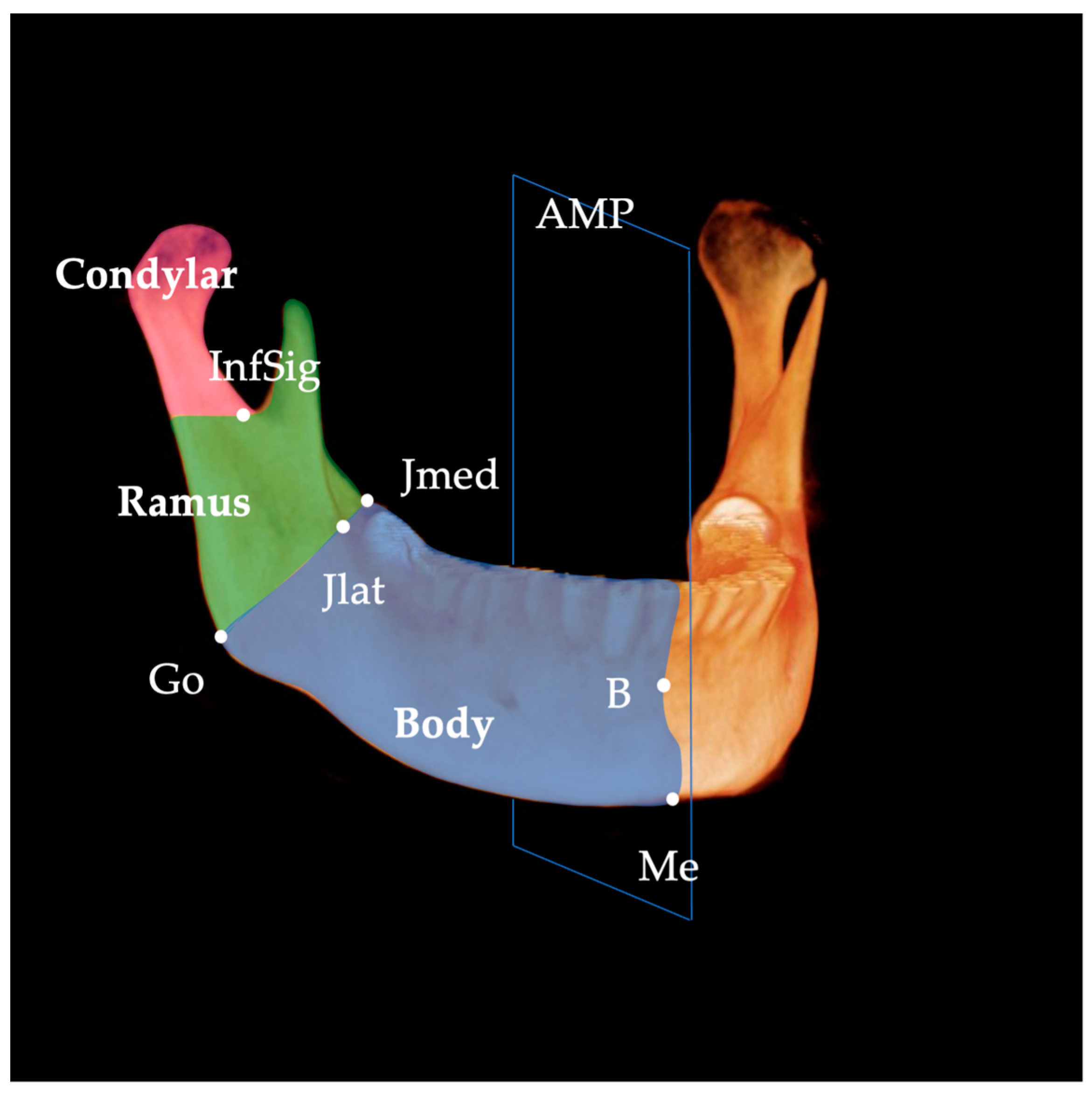 Diagnostics 13 01331 g007
