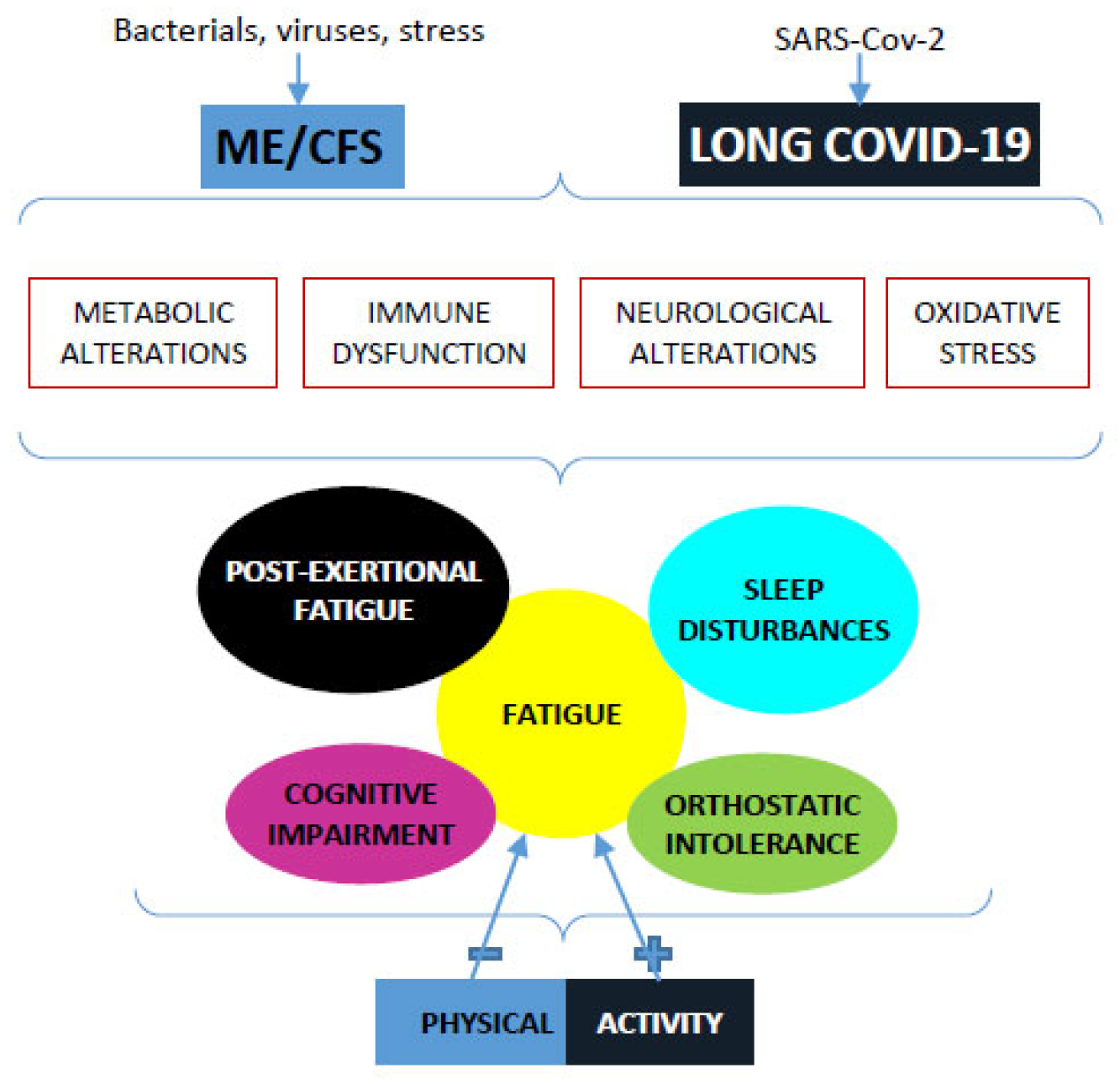 Diagnostics 13 01336 g004