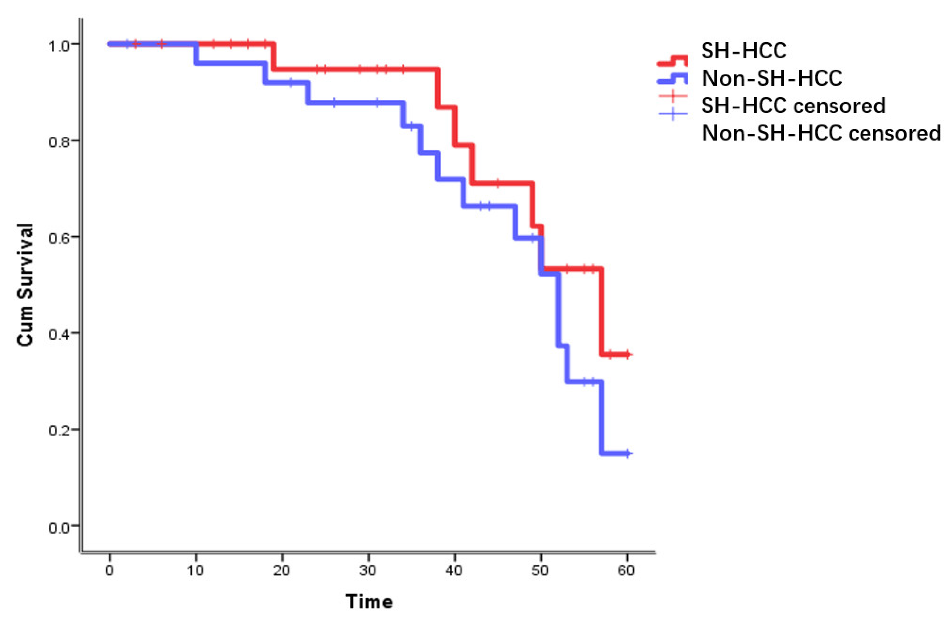 Diagnostics 13 01337 g003
