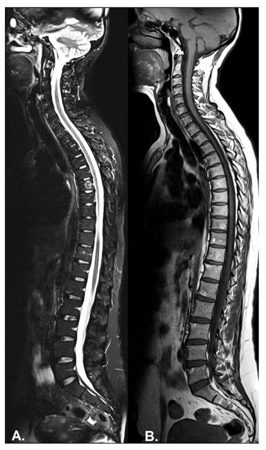 Diagnostics 13 01342 g003