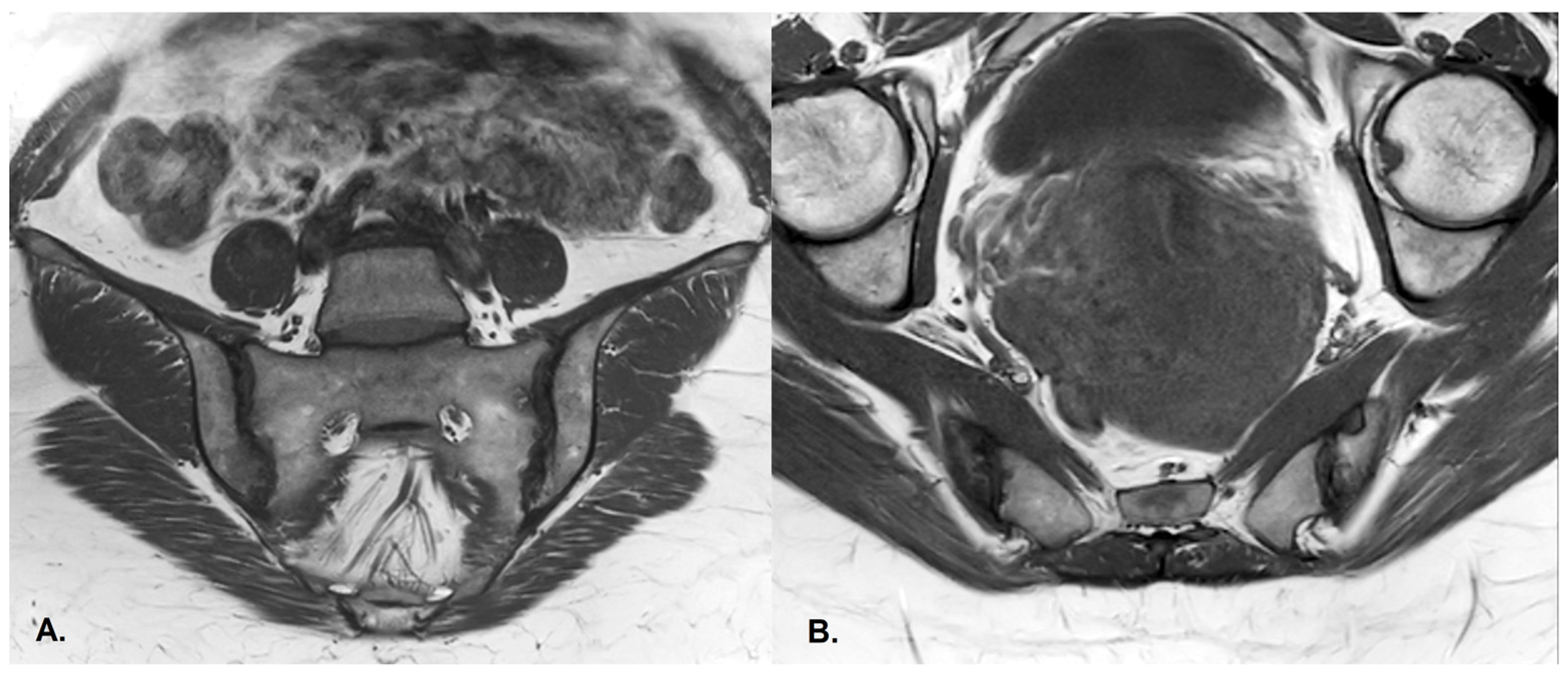 Diagnostics 13 01342 g005