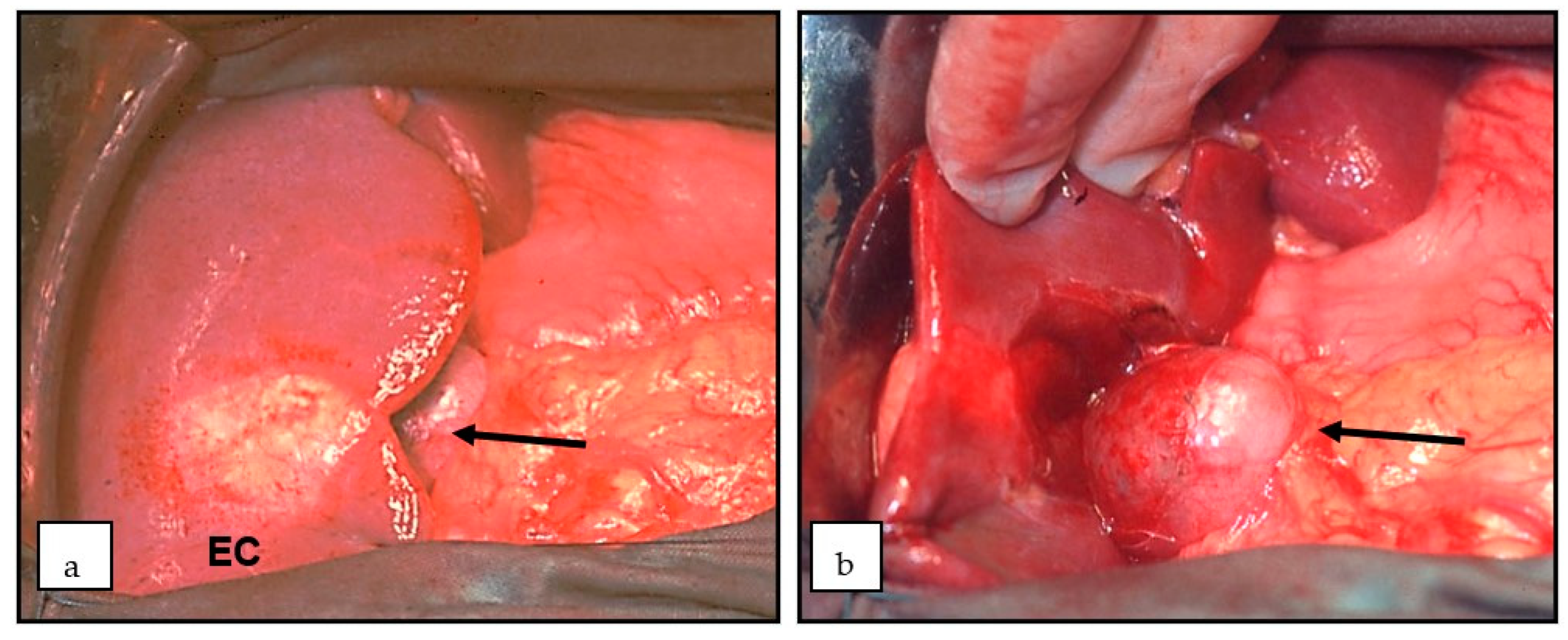 Diagnostics 13 01343 g002