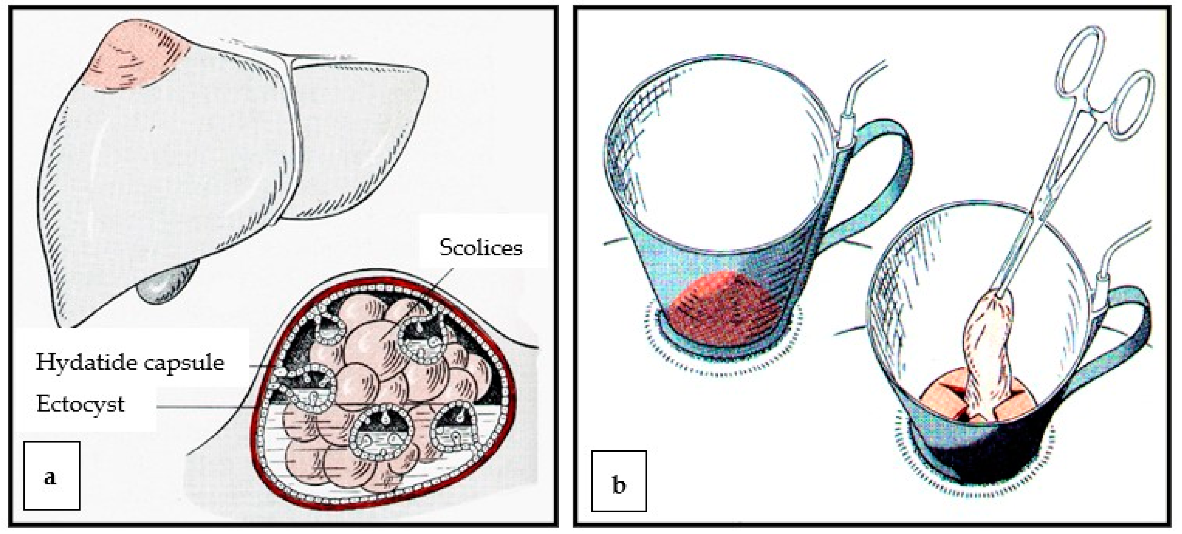 Diagnostics 13 01343 g004