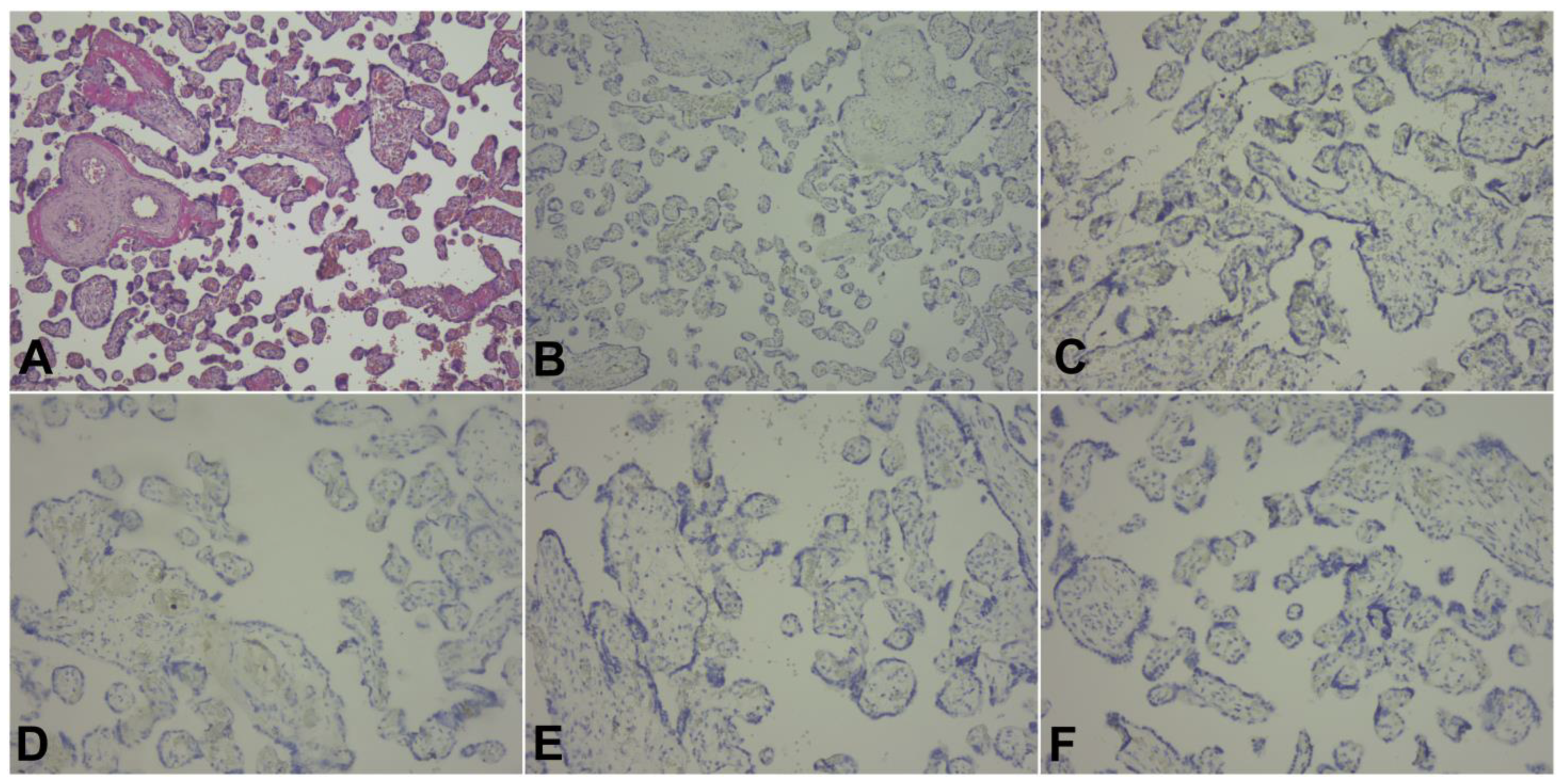 Diagnostics 13 01345 g001 Diagnostics 13 01345 g001