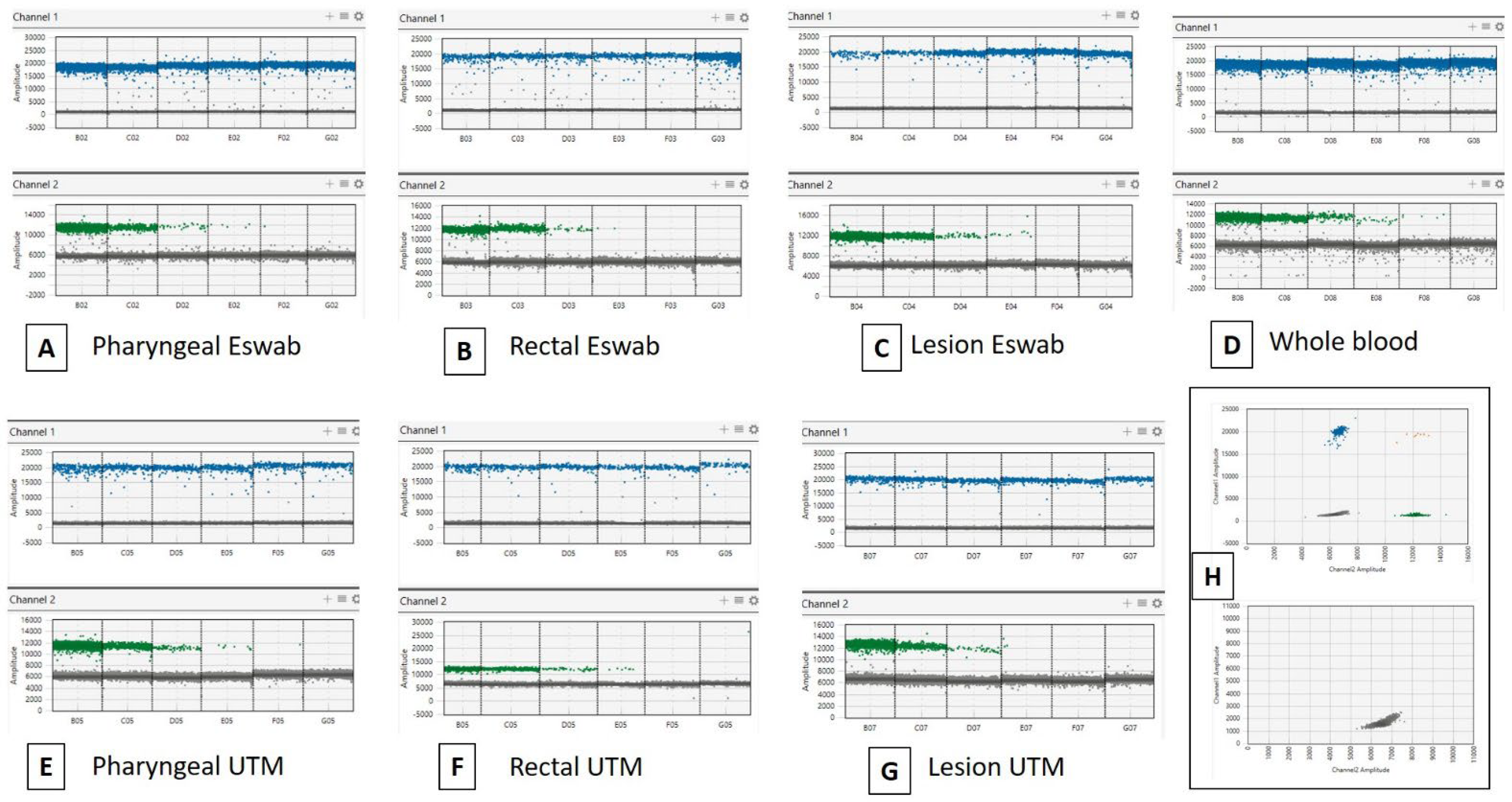 Diagnostics 13 01349 g001