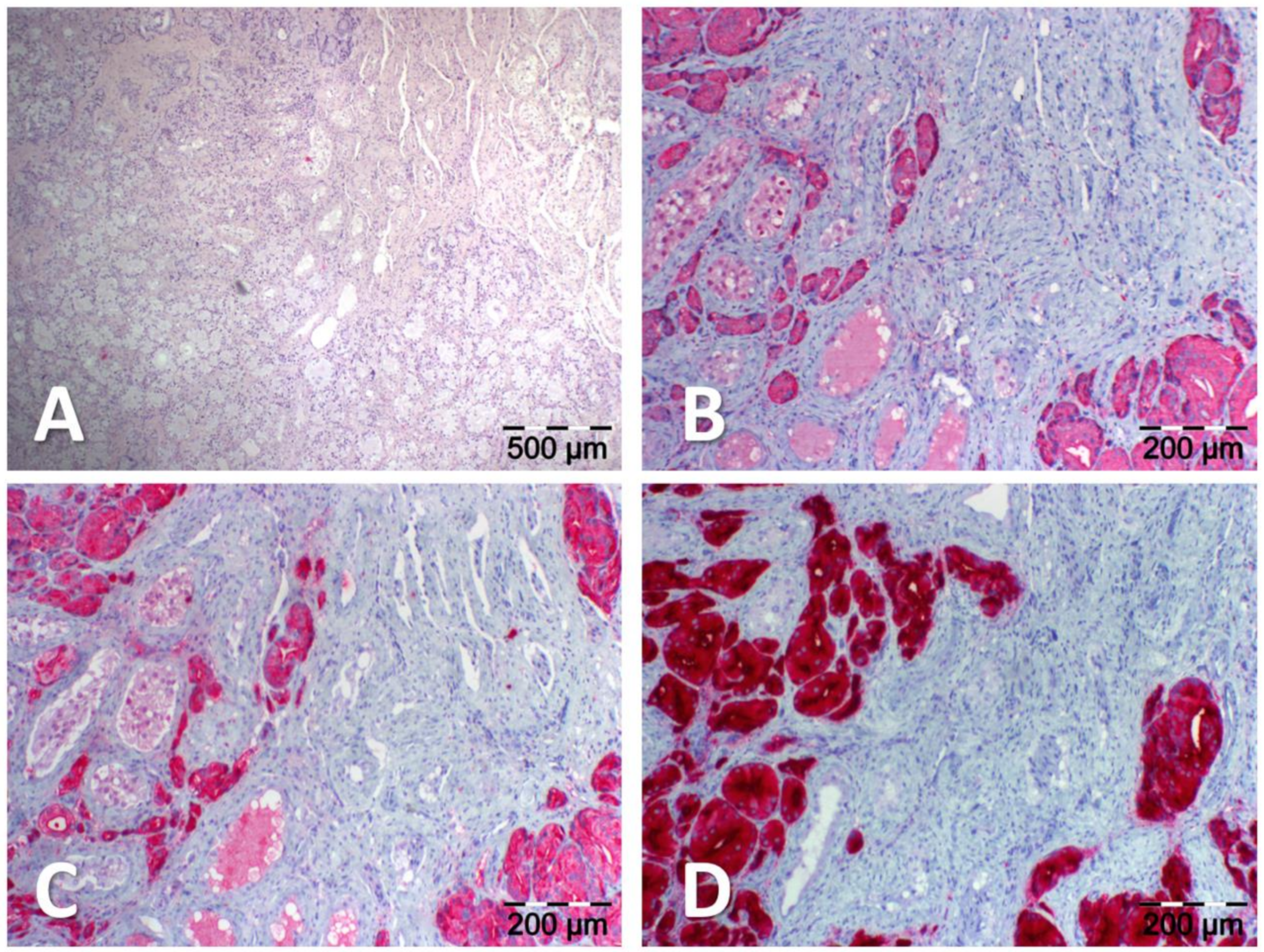 Diagnostics 13 01352 g002