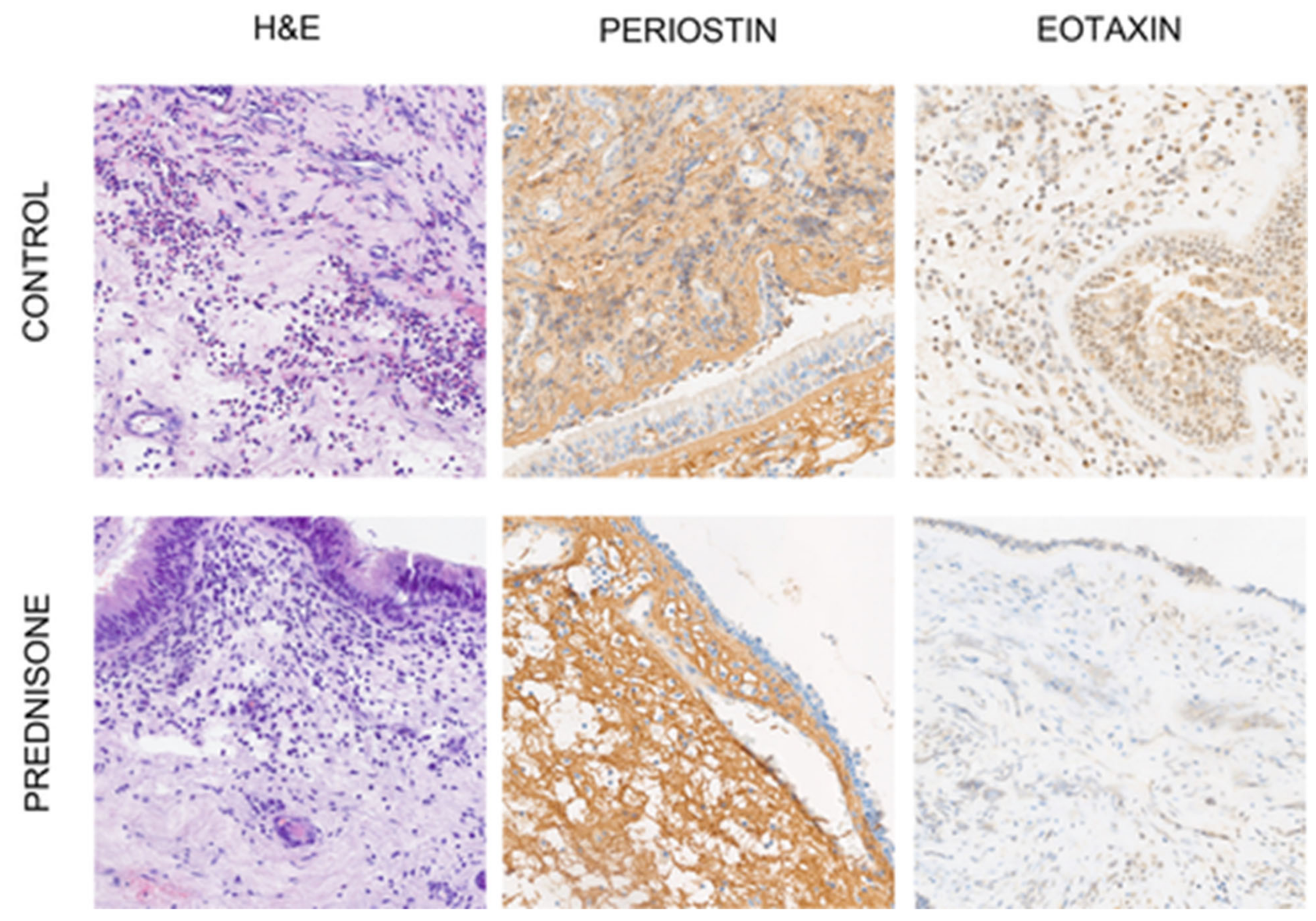 Diagnostics 13 01354 g001