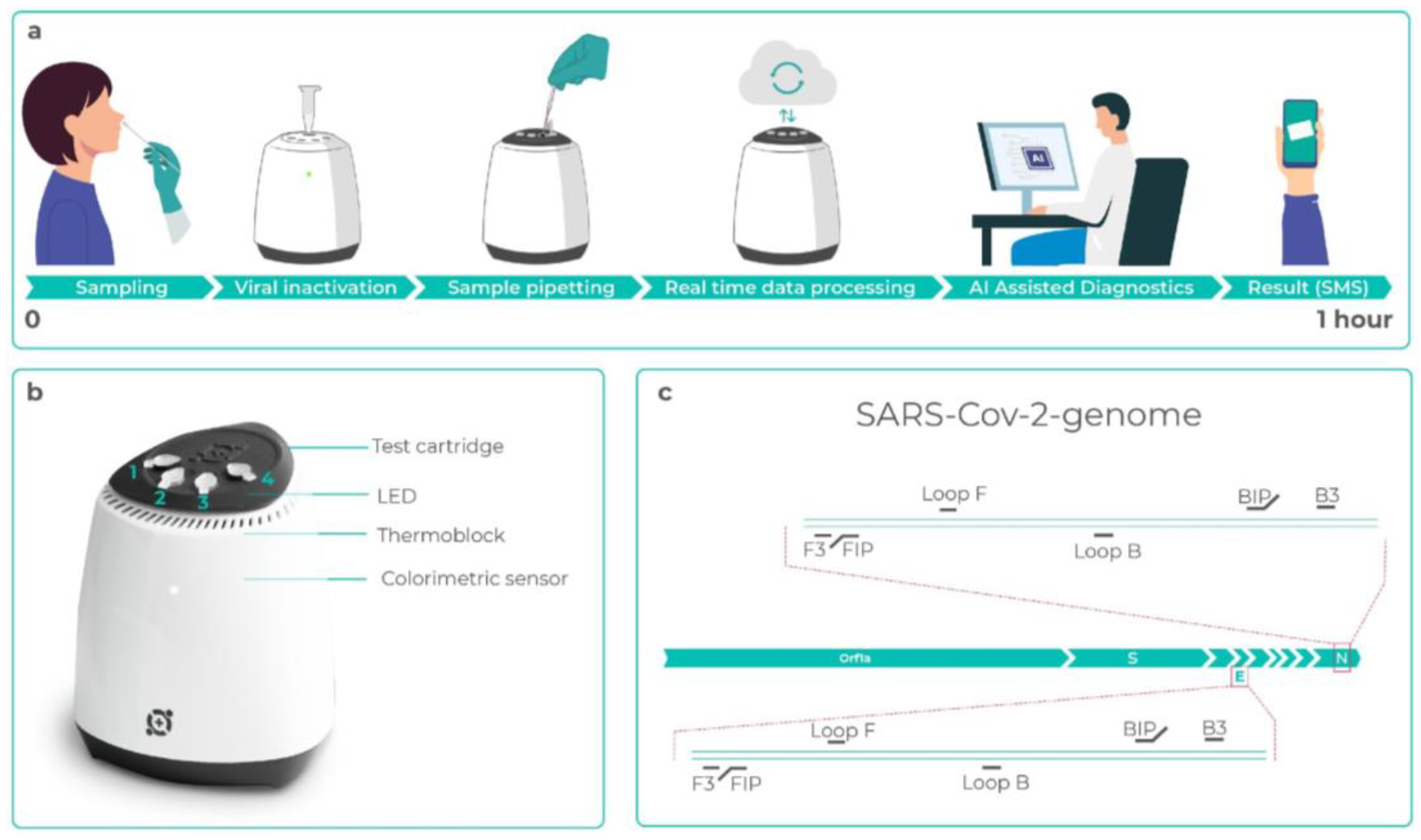Diagnostics 13 01355 g001