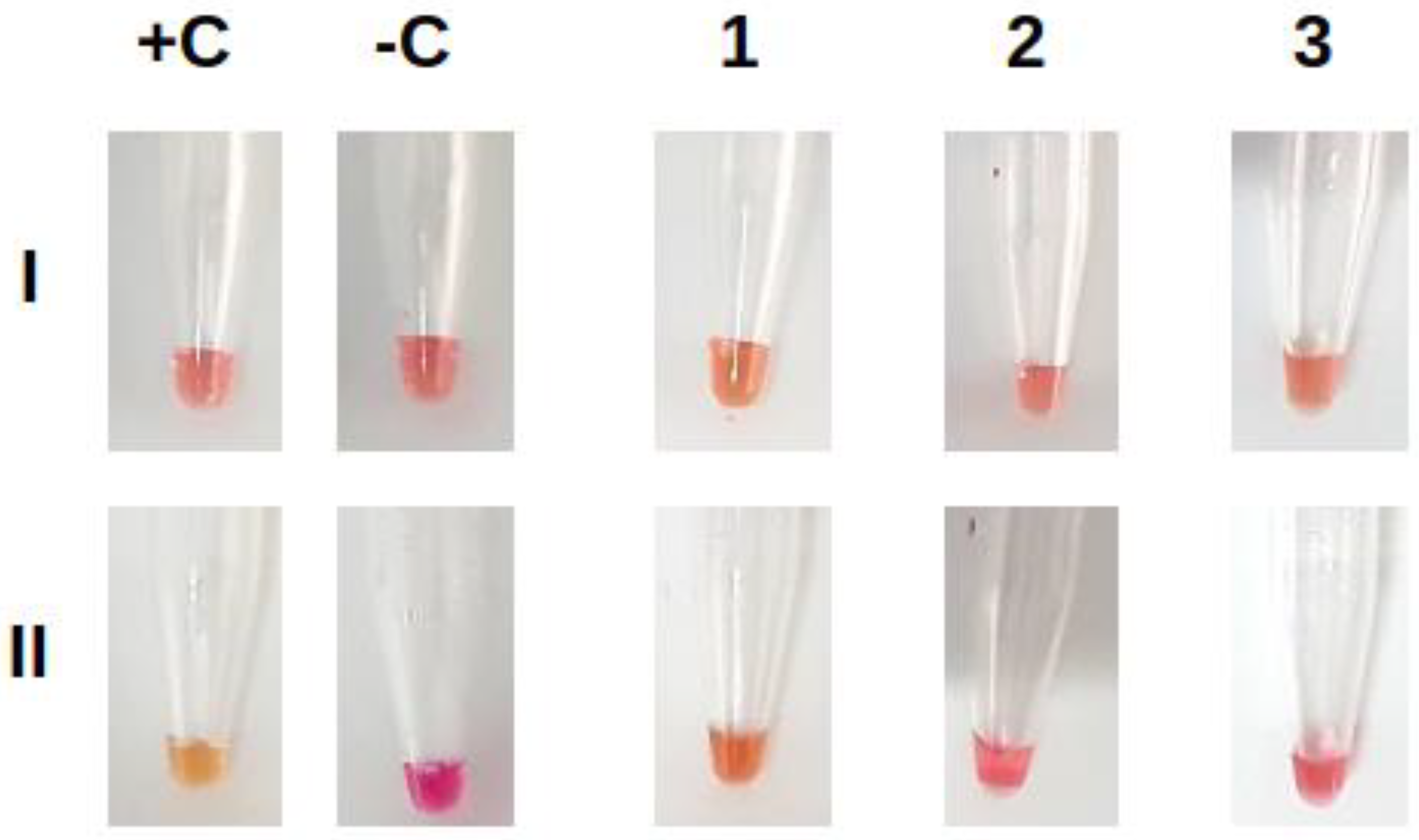 Diagnostics 13 01355 g005