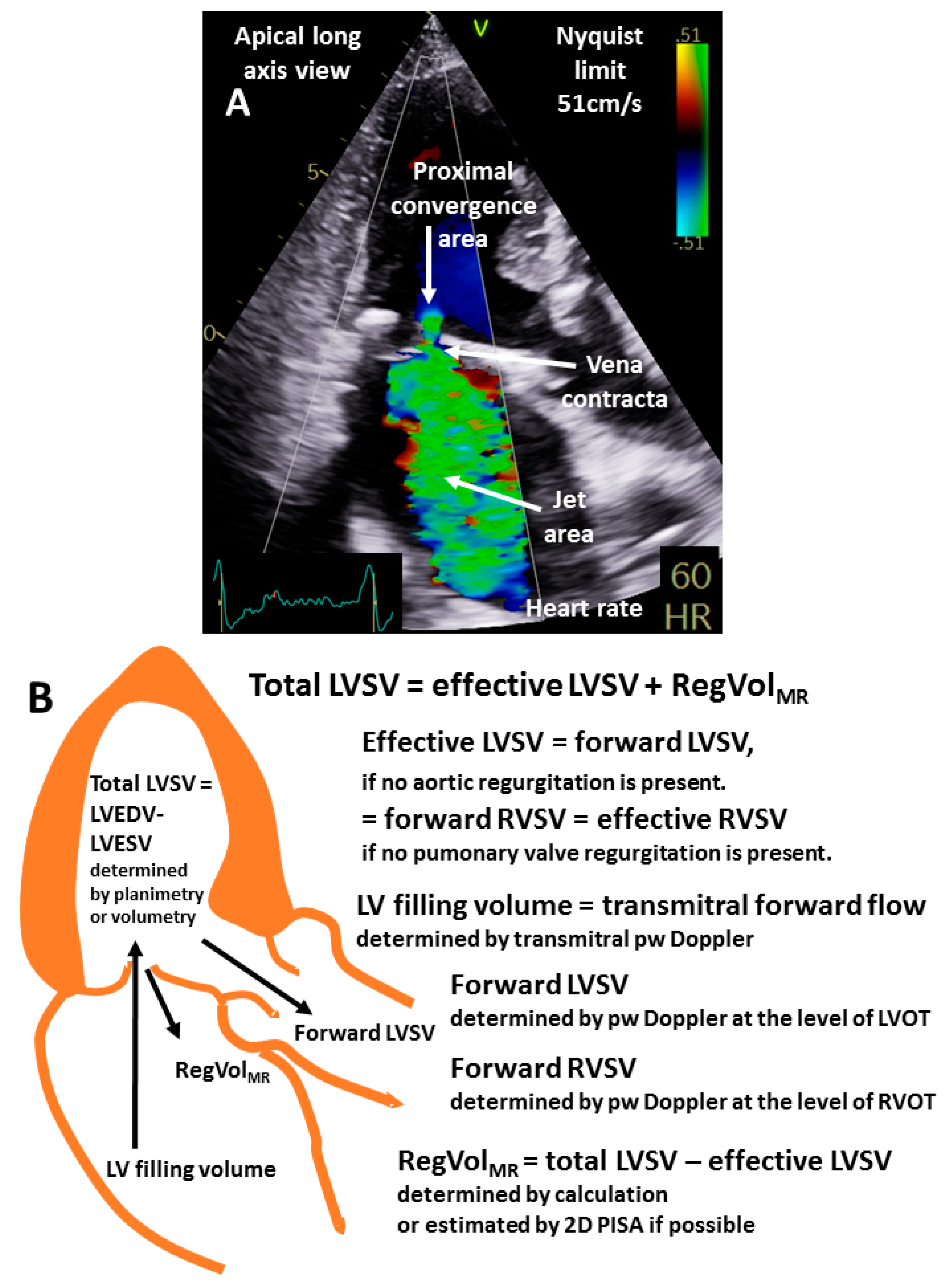 Diagnostics 13 01359 g002