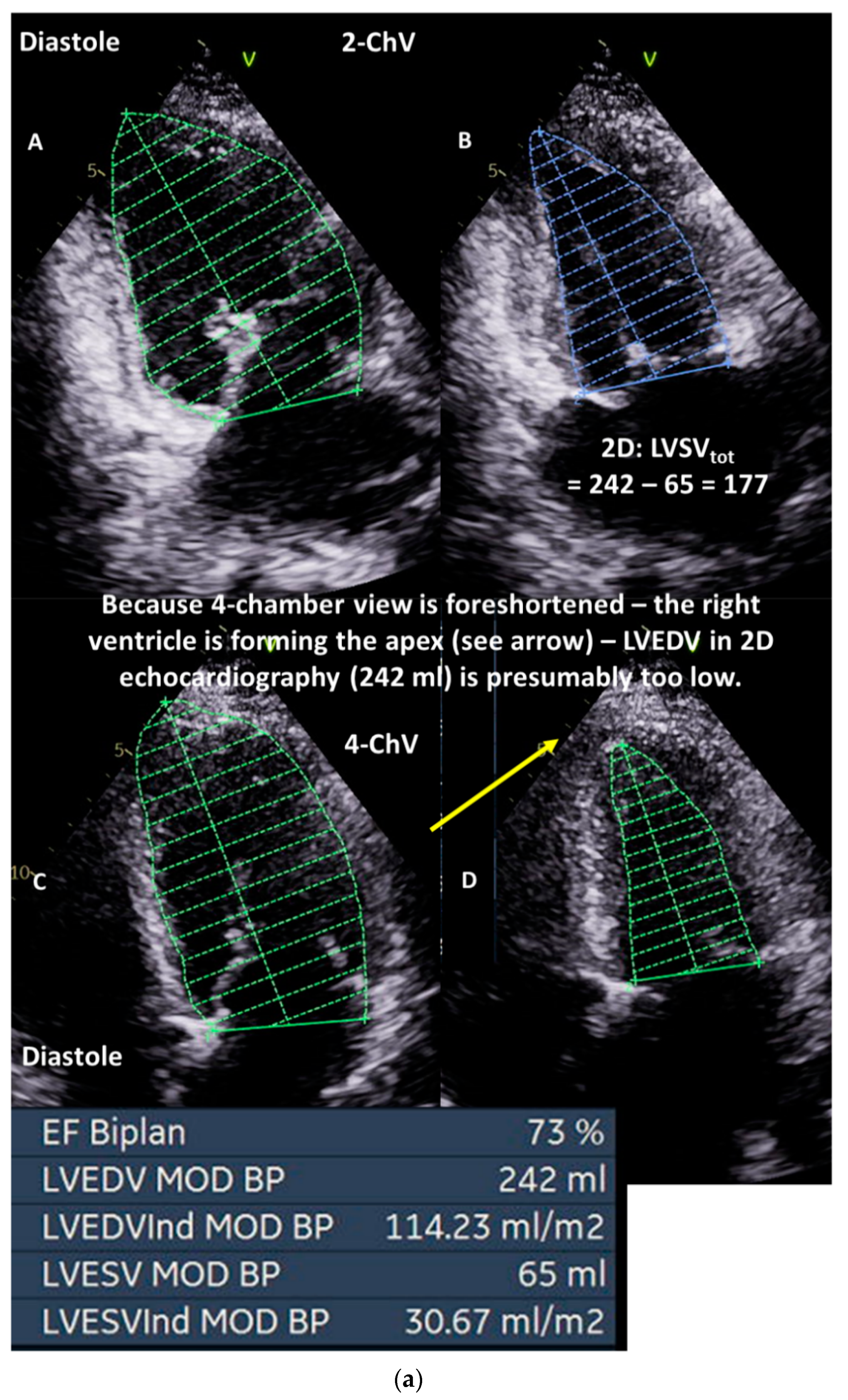 Diagnostics 13 01359 g003a
