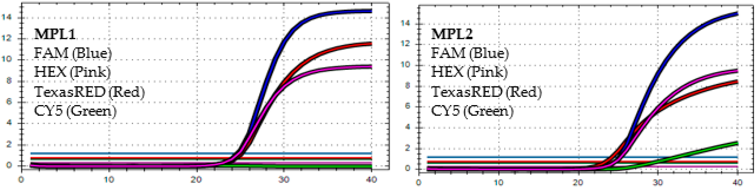 Diagnostics 13 01364 g002