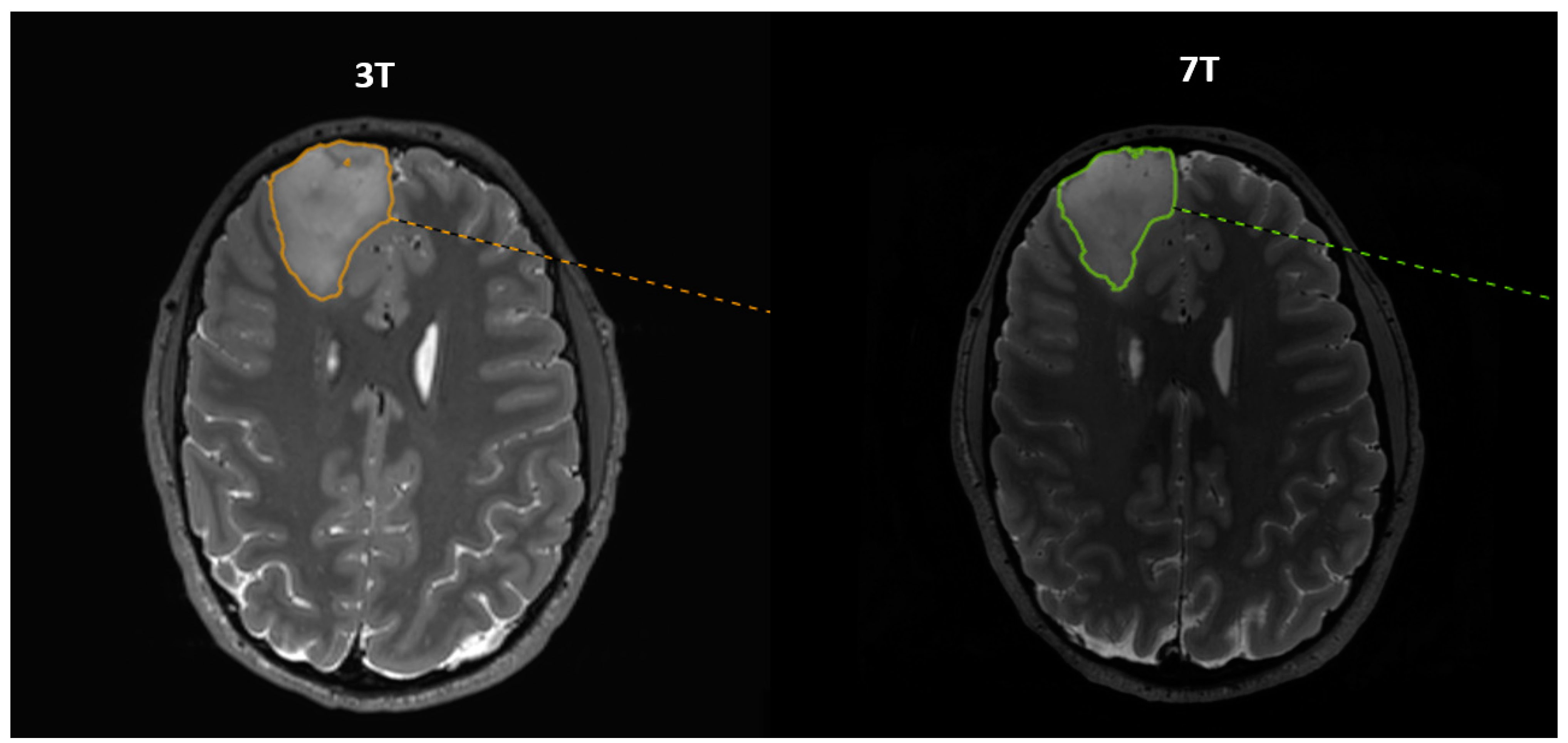 Diagnostics 13 01365 g001