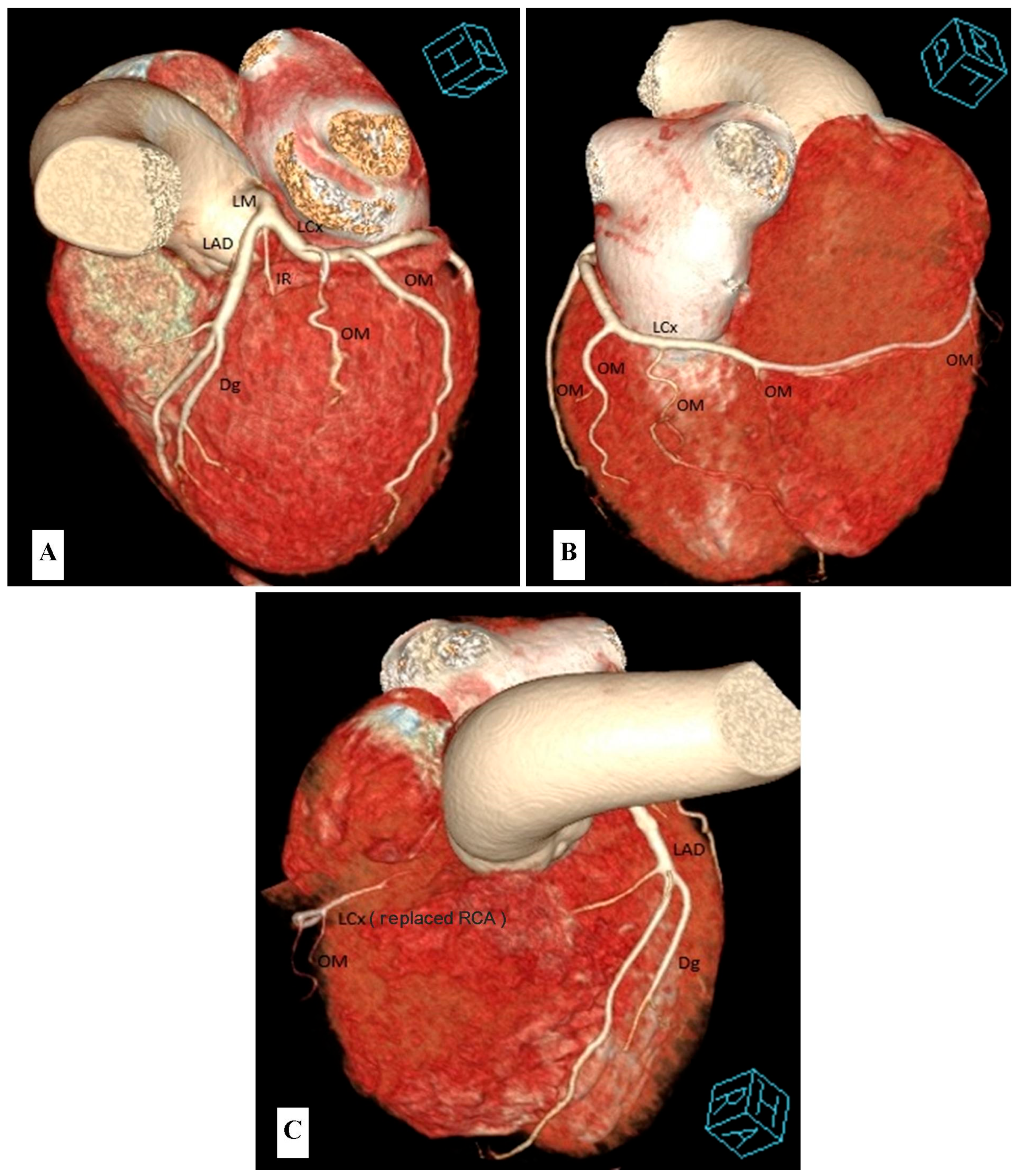 Diagnostics 13 01369 g002