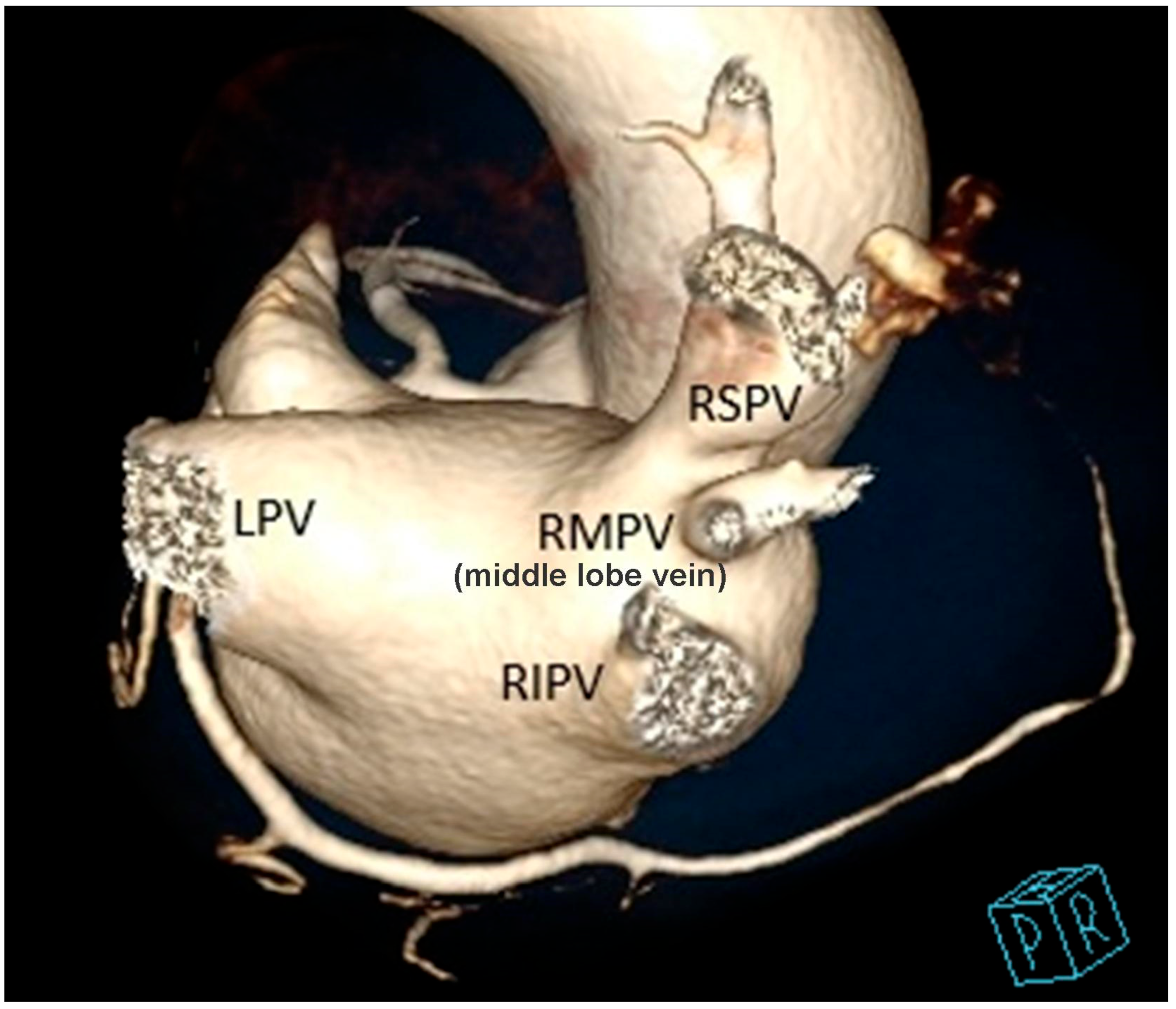 Diagnostics 13 01369 g005