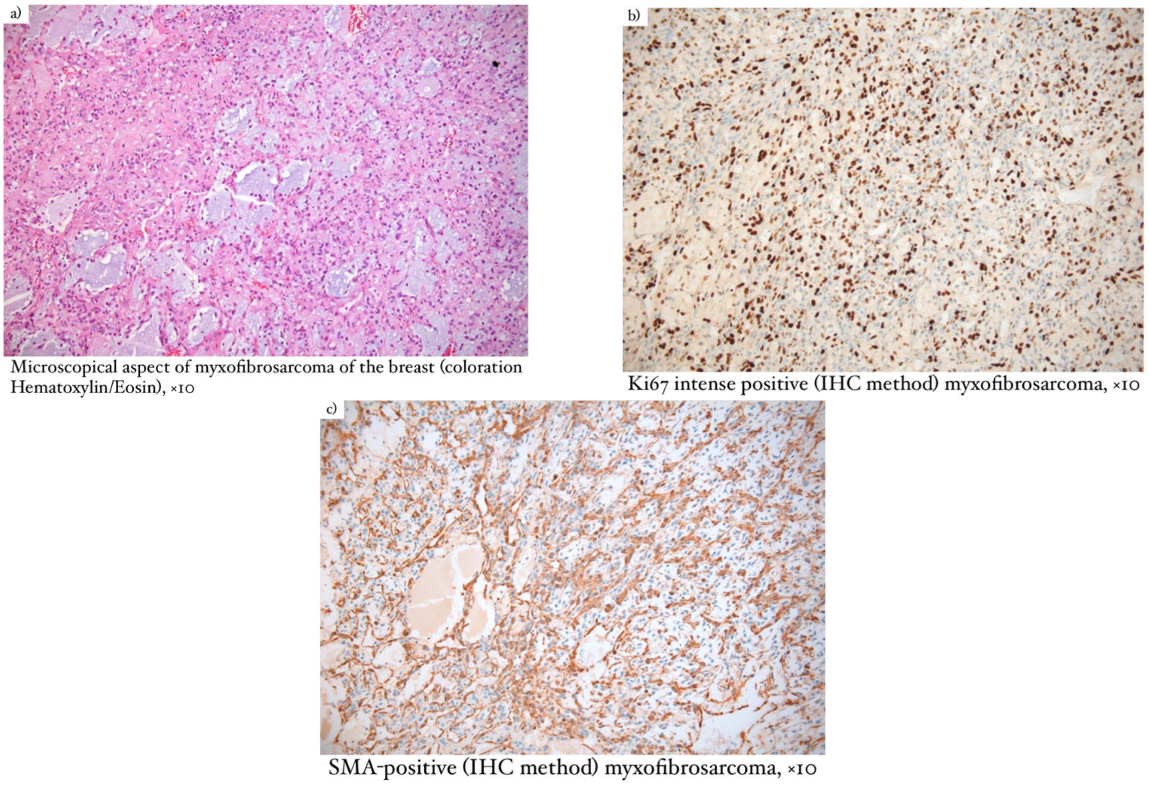 Diagnostics 13 01370 g002