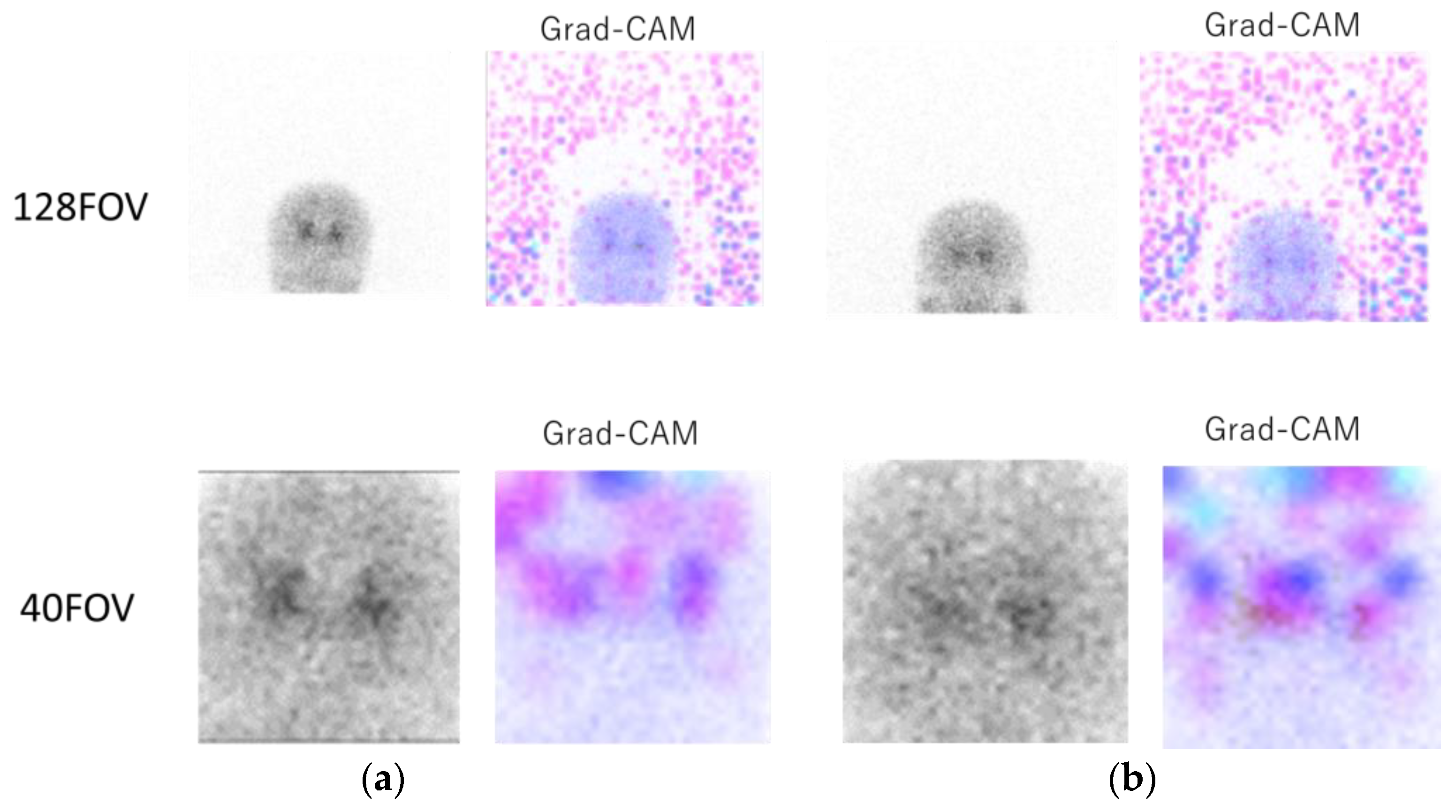 Diagnostics 13 01371 g004