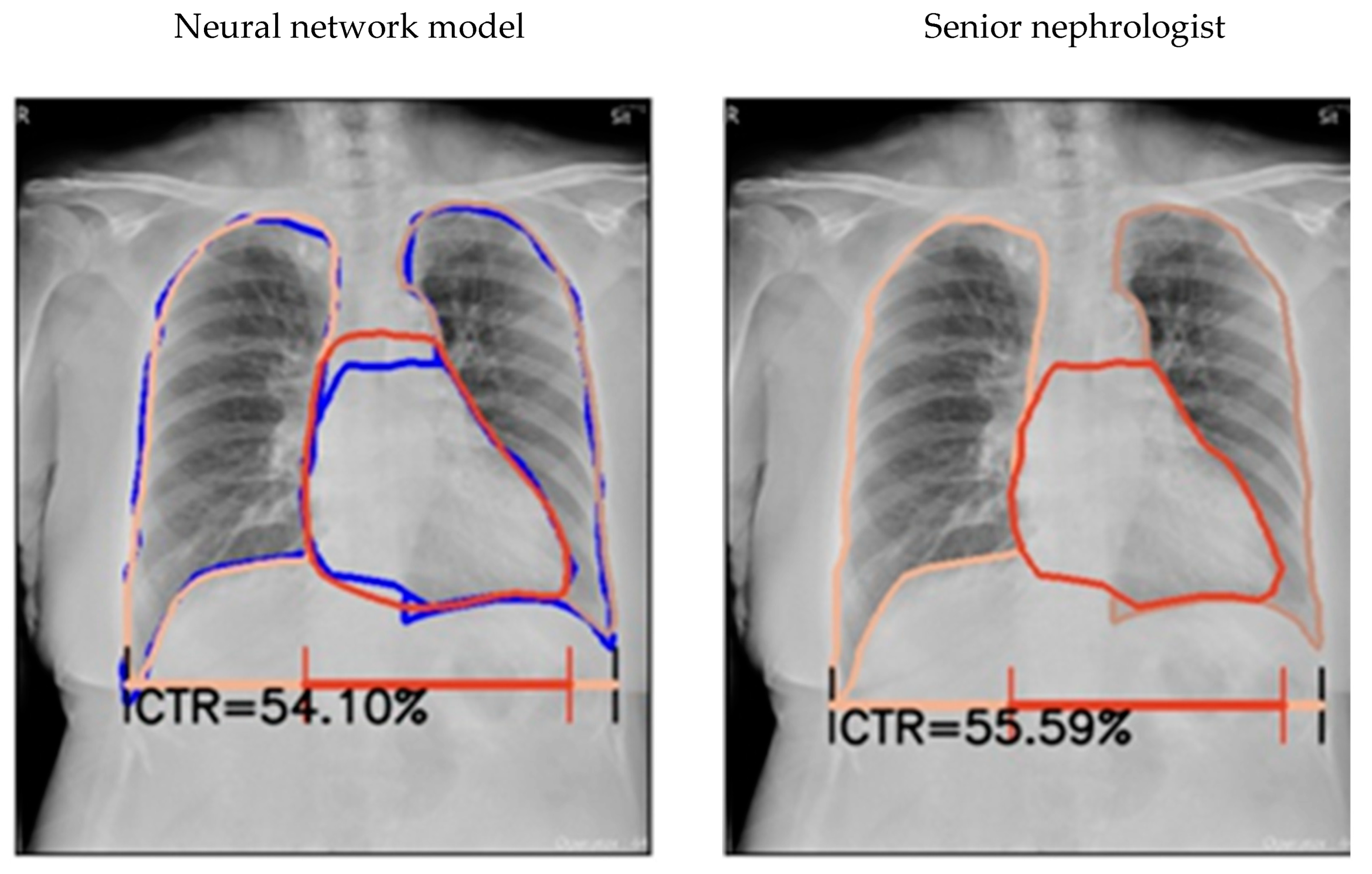 Diagnostics 13 01376 g001