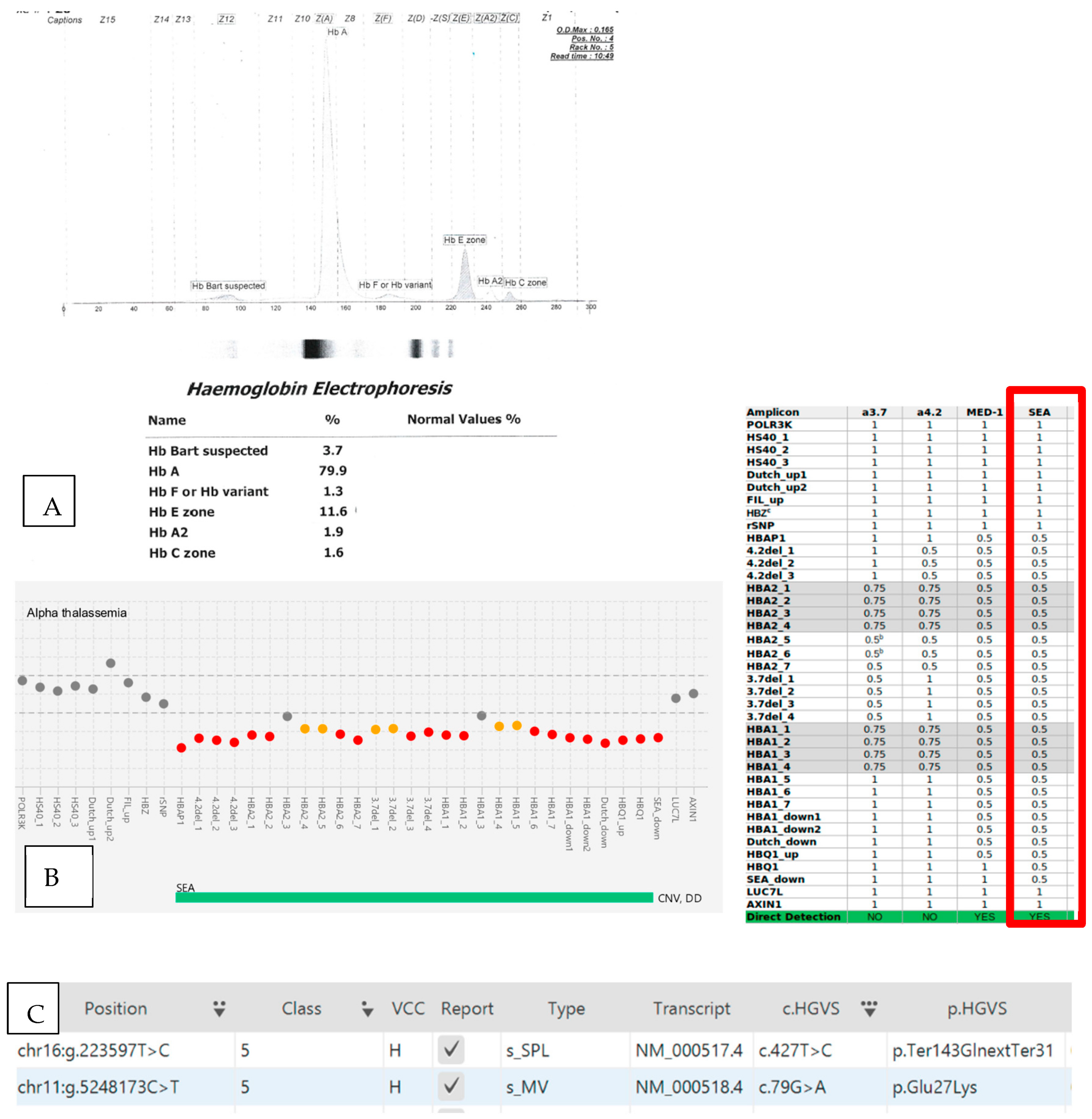 Diagnostics 13 01379 g001