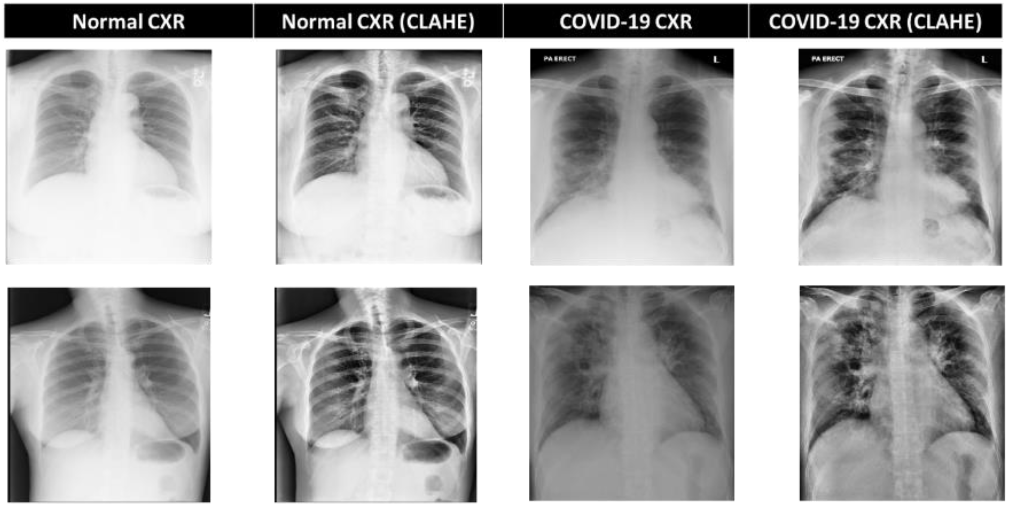Diagnostics 13 01387 g002